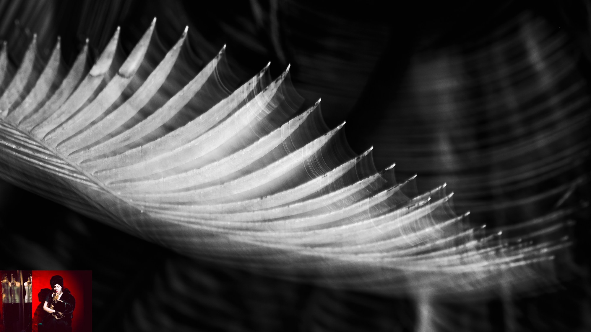 Portraits of Park Residents. Ekaterina Tsurkina-Appina Photography Canada