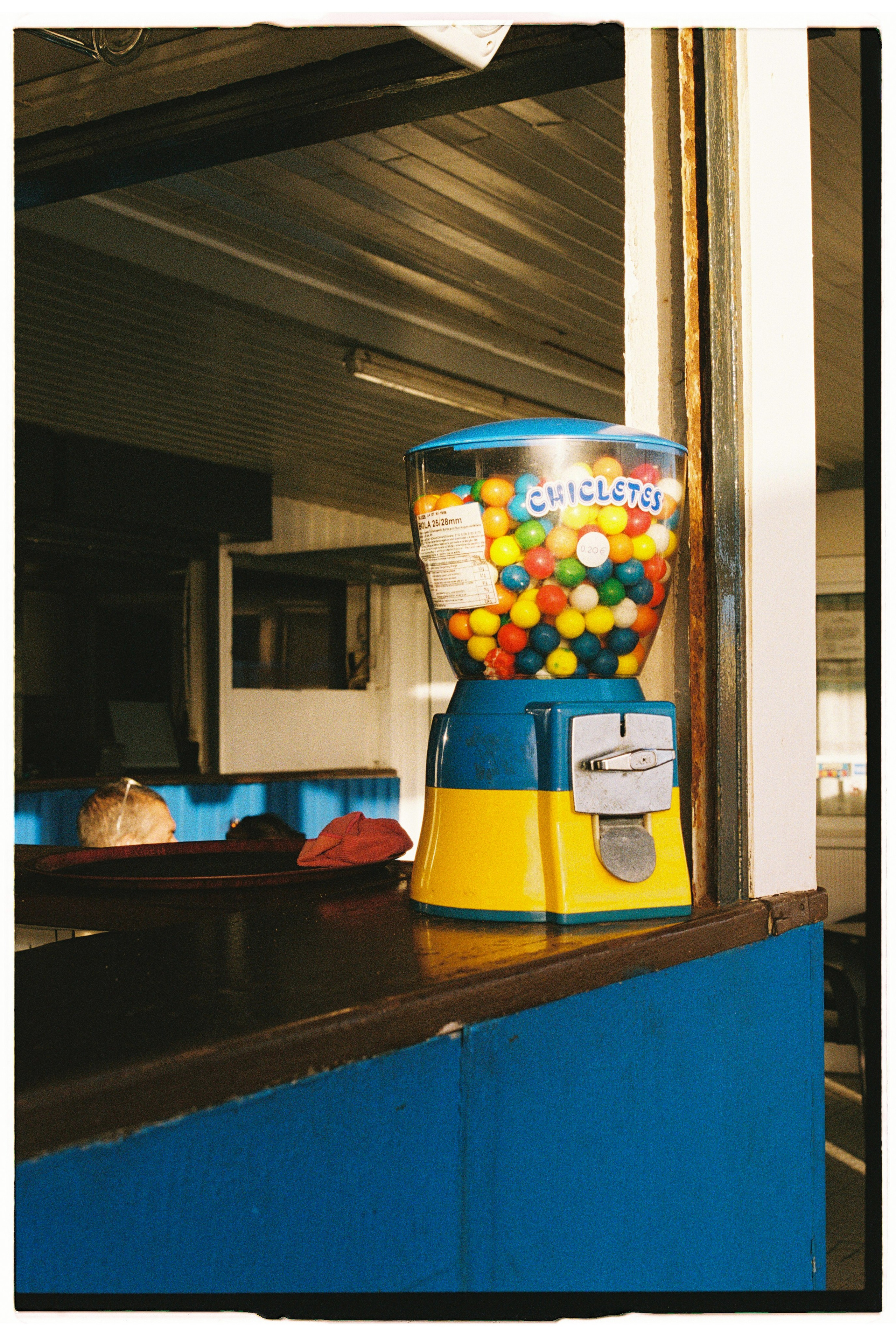 Madeira on film. Portrait photographer in Madeira — Marina Shtukina