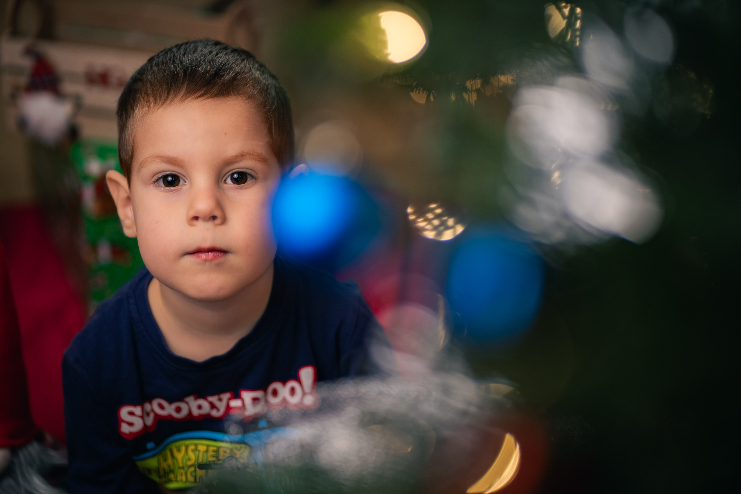 Sedinta foto Craciun — Gradinita Miniterra. Liviu Andrei - Fotograf