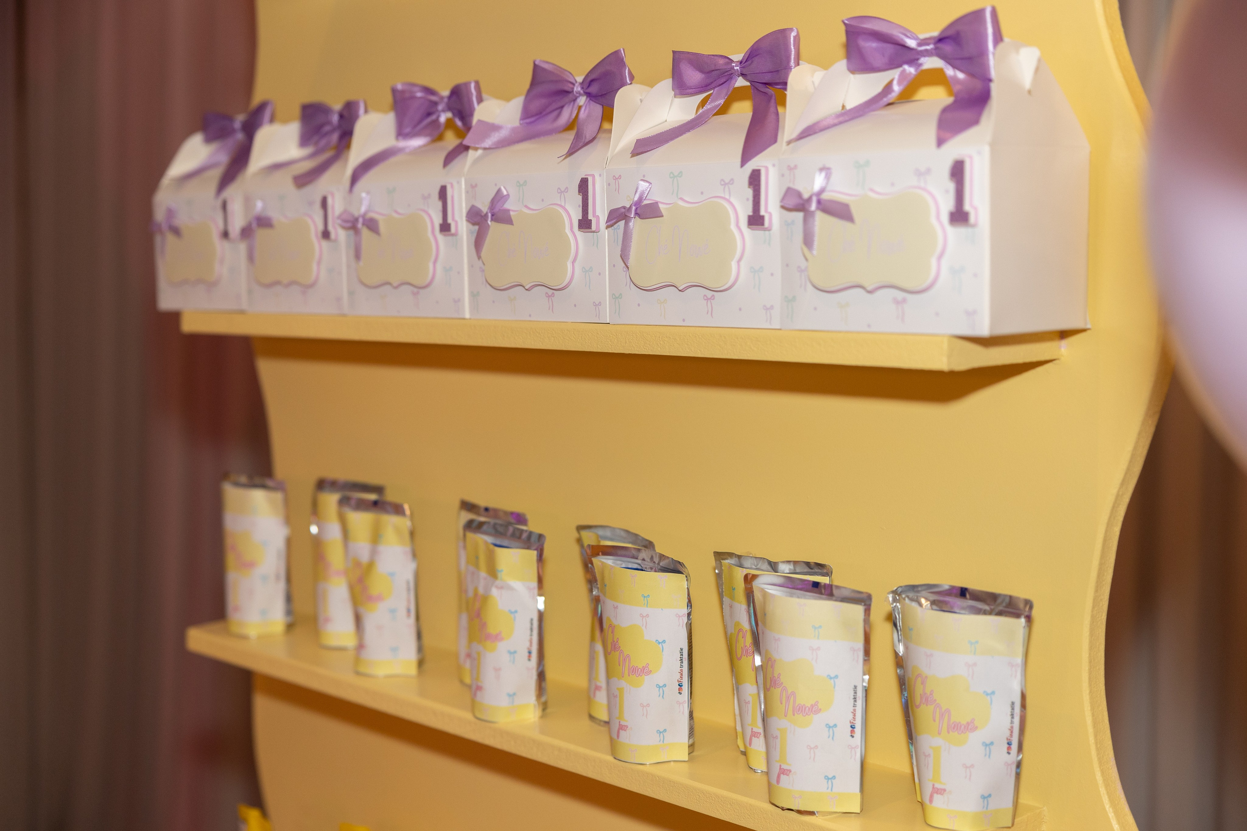 1 st Birthday. Portrait and Family Photographer in Netherlands