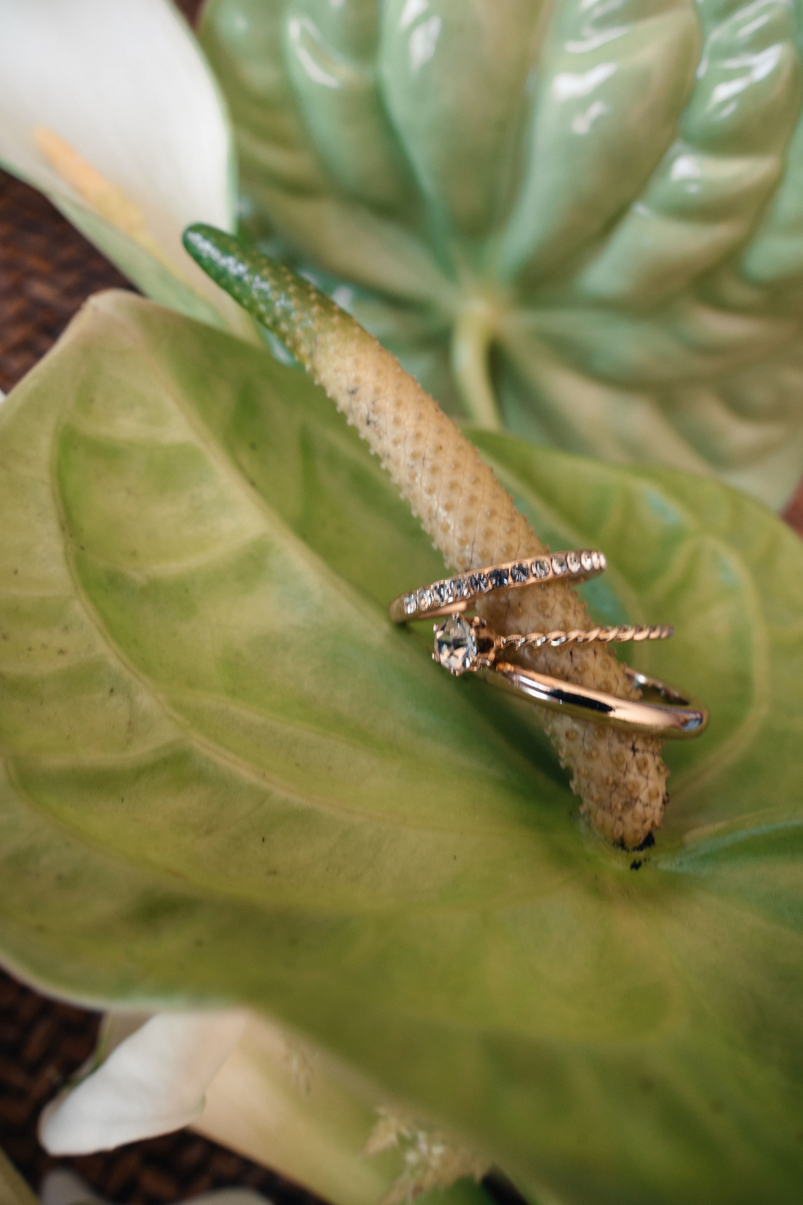 J & P Mallorca, Villa Sacasabona. Wedding Photographer Germany