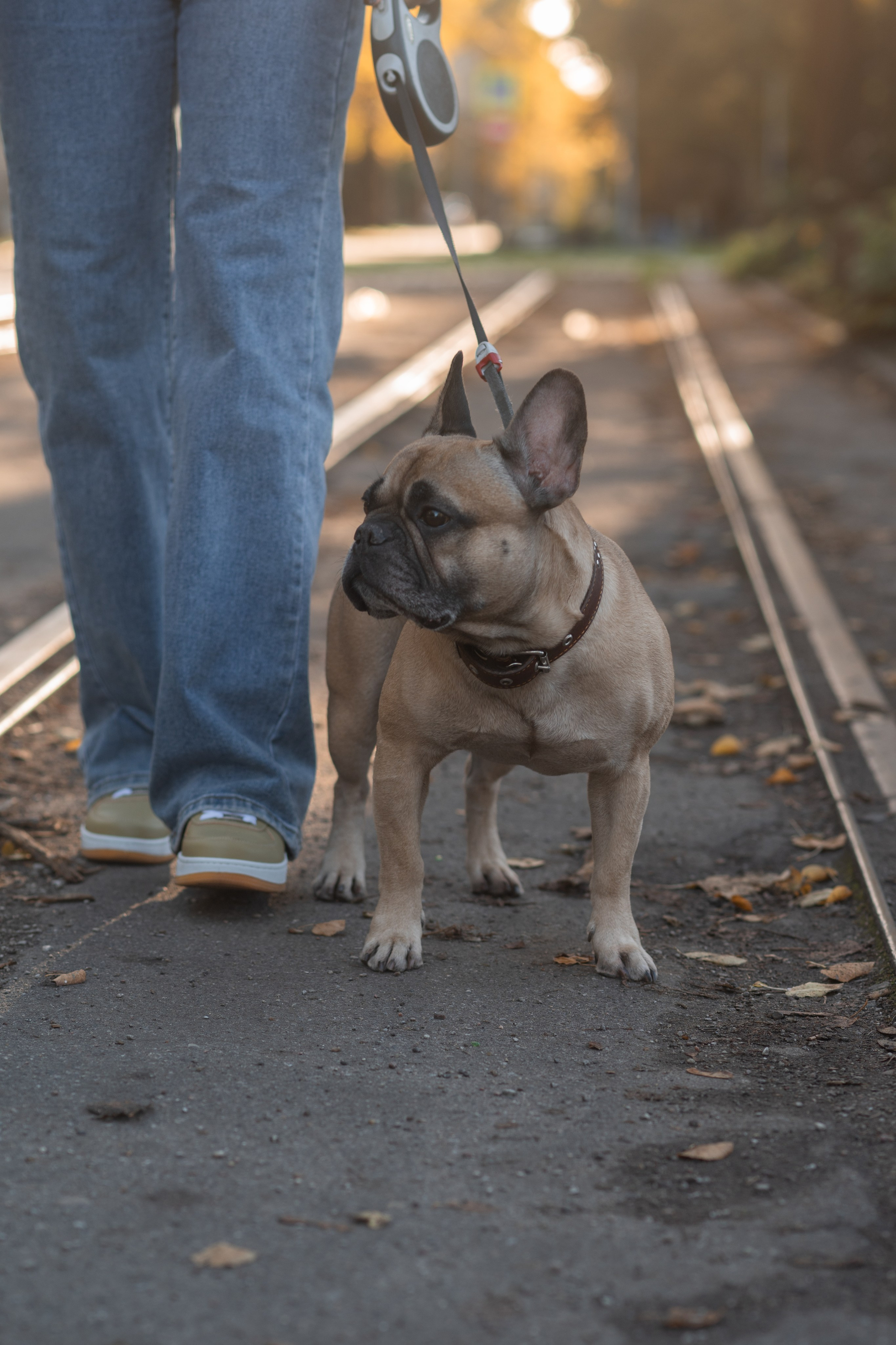 Фотосессия с собакой — Наталия и Тайсон. Фотограф в Калининграде Анна Пошкус