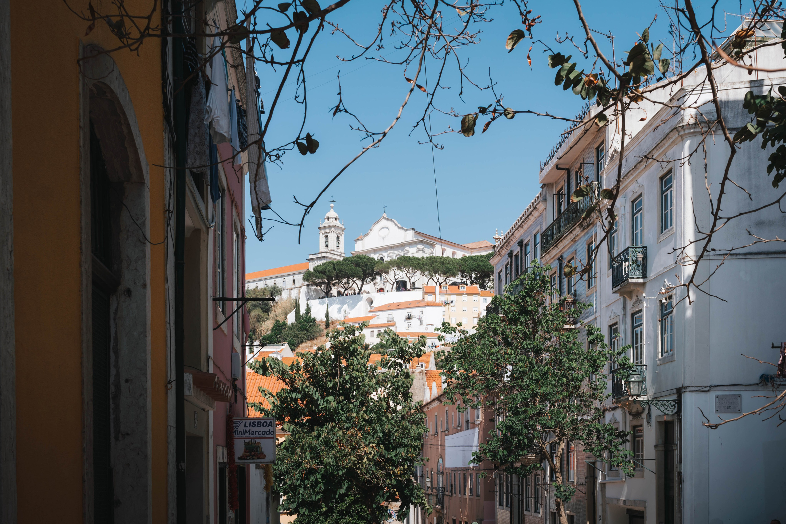 Lisboa, Agosto 2024. Alba del Norte Studio