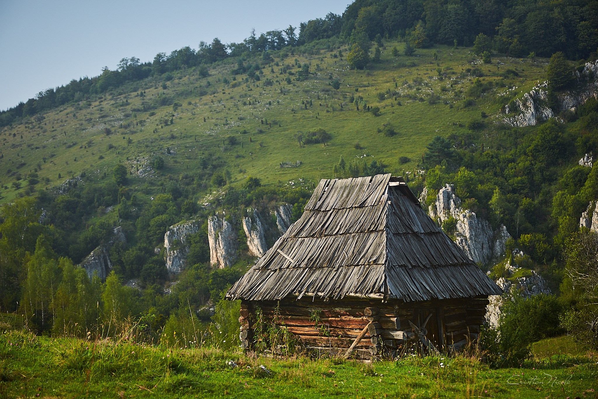 Fundătura Ponorului, jud. Humedoara. Pagina principală