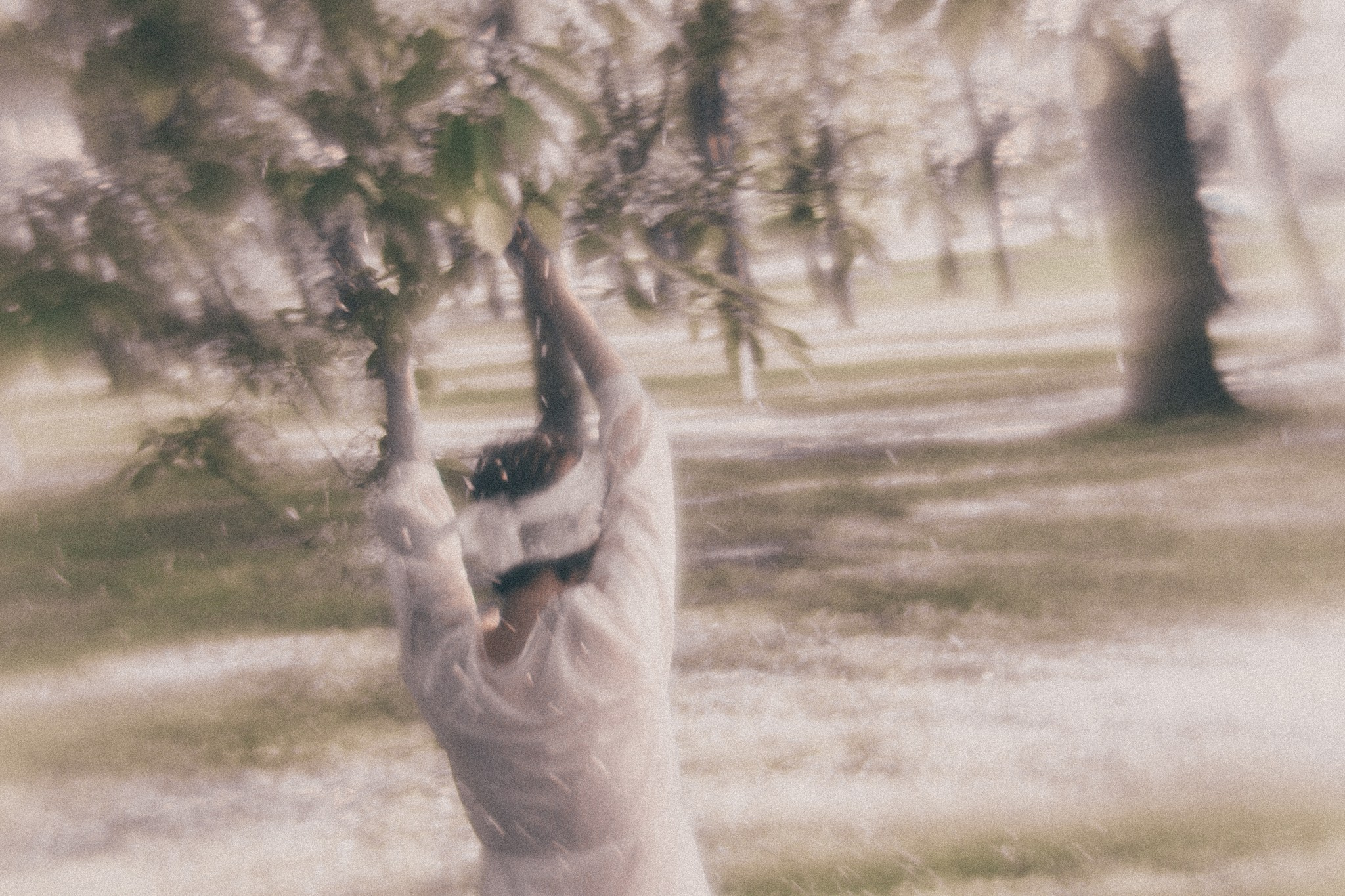 Tree of Life. Sandra Garanca Portrait and event photographer