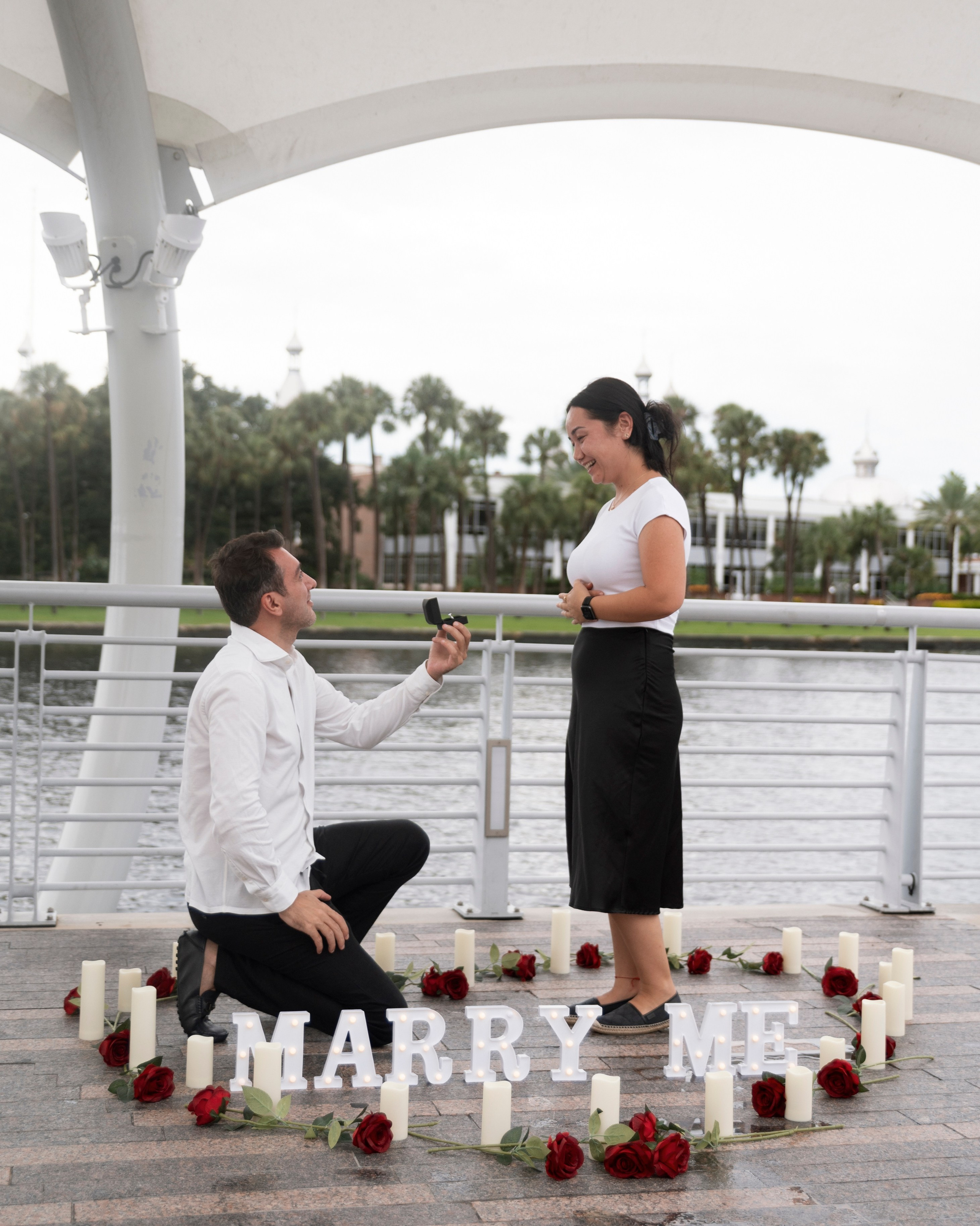 Secret Proposal. Portrait, kids and family photographer in Wesley Chapel Alina Alice Osipova