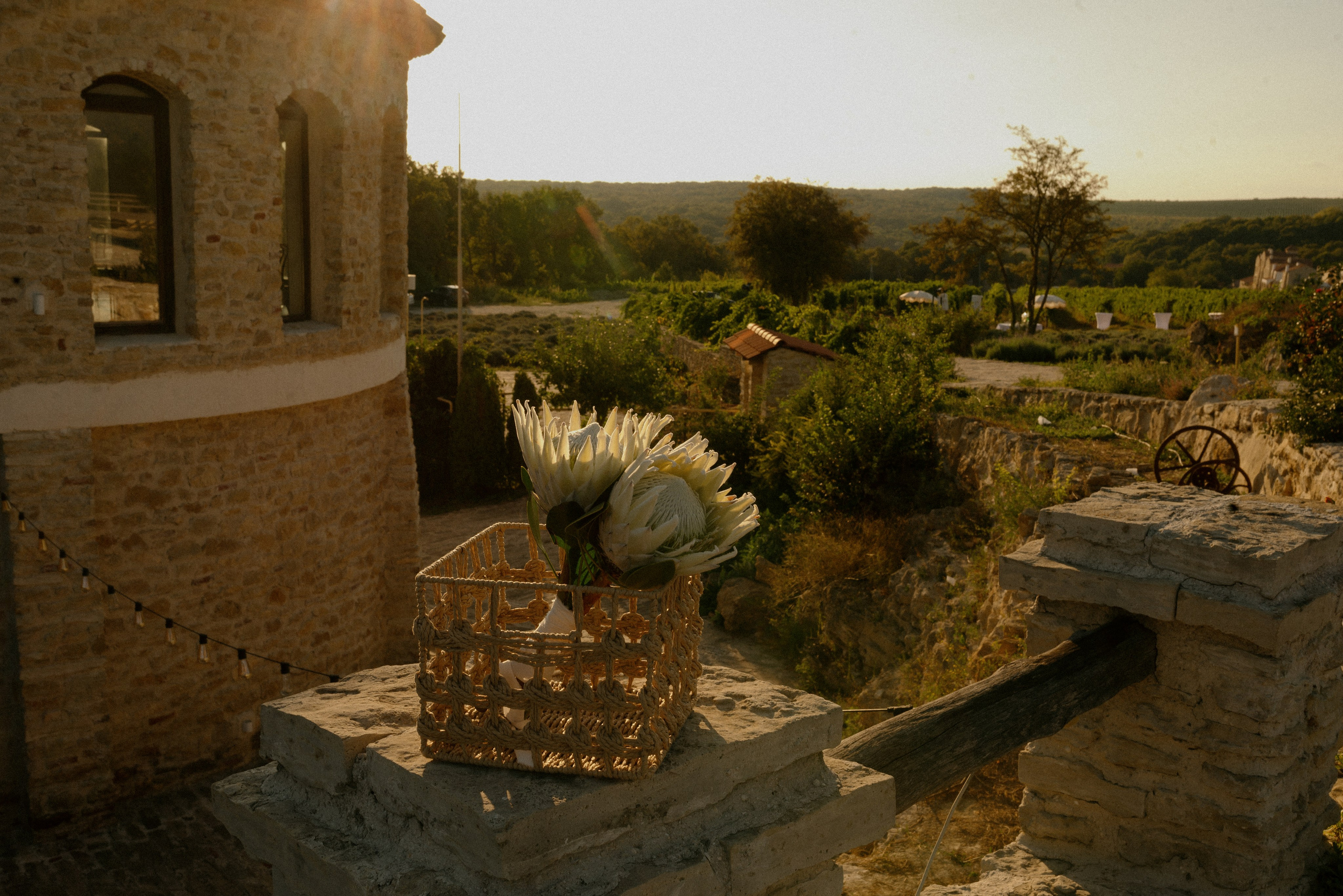 Yulya | Dima. Мария Гуржеева