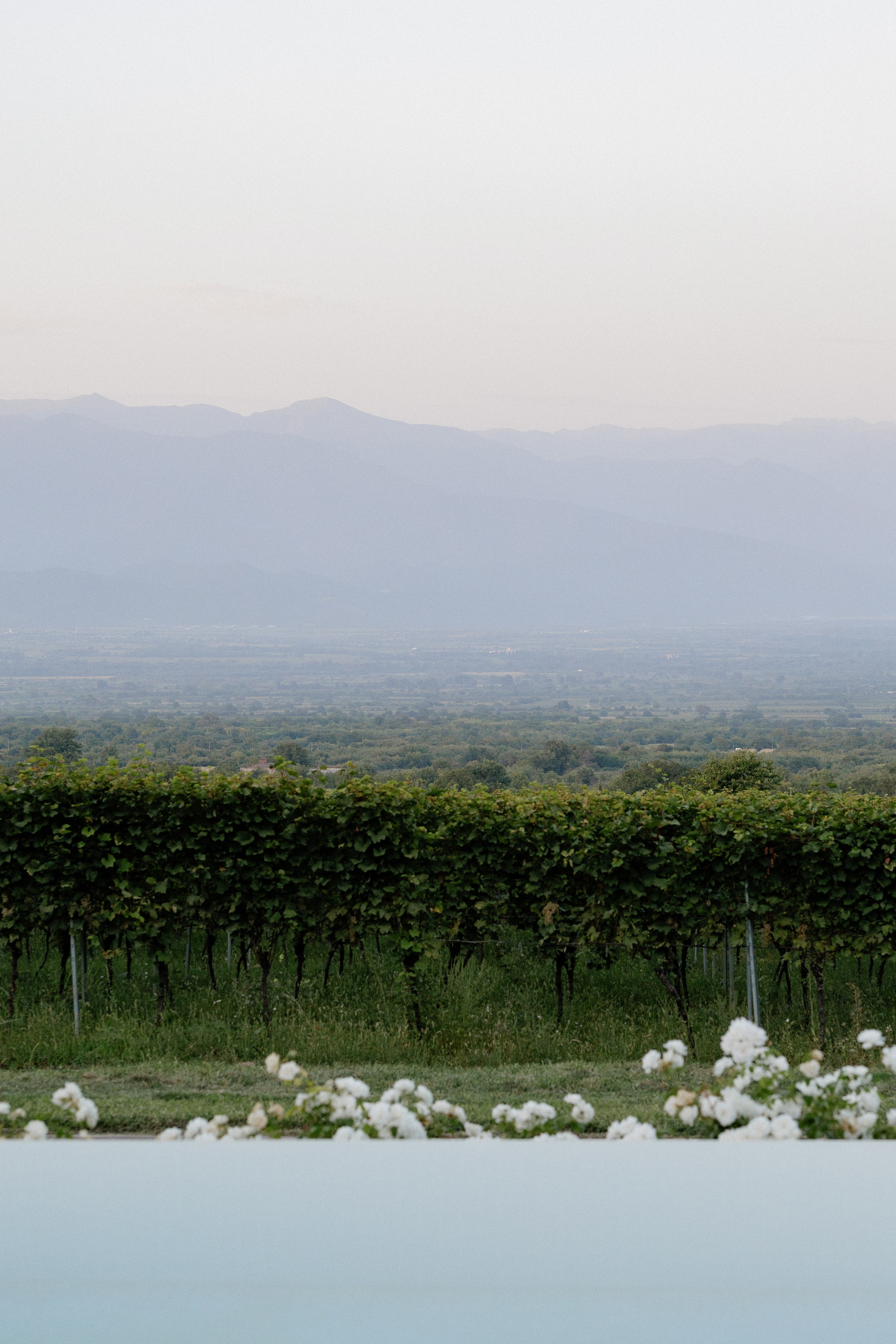 Ninutsa & Irakli. Photographer Anna Nazarenko