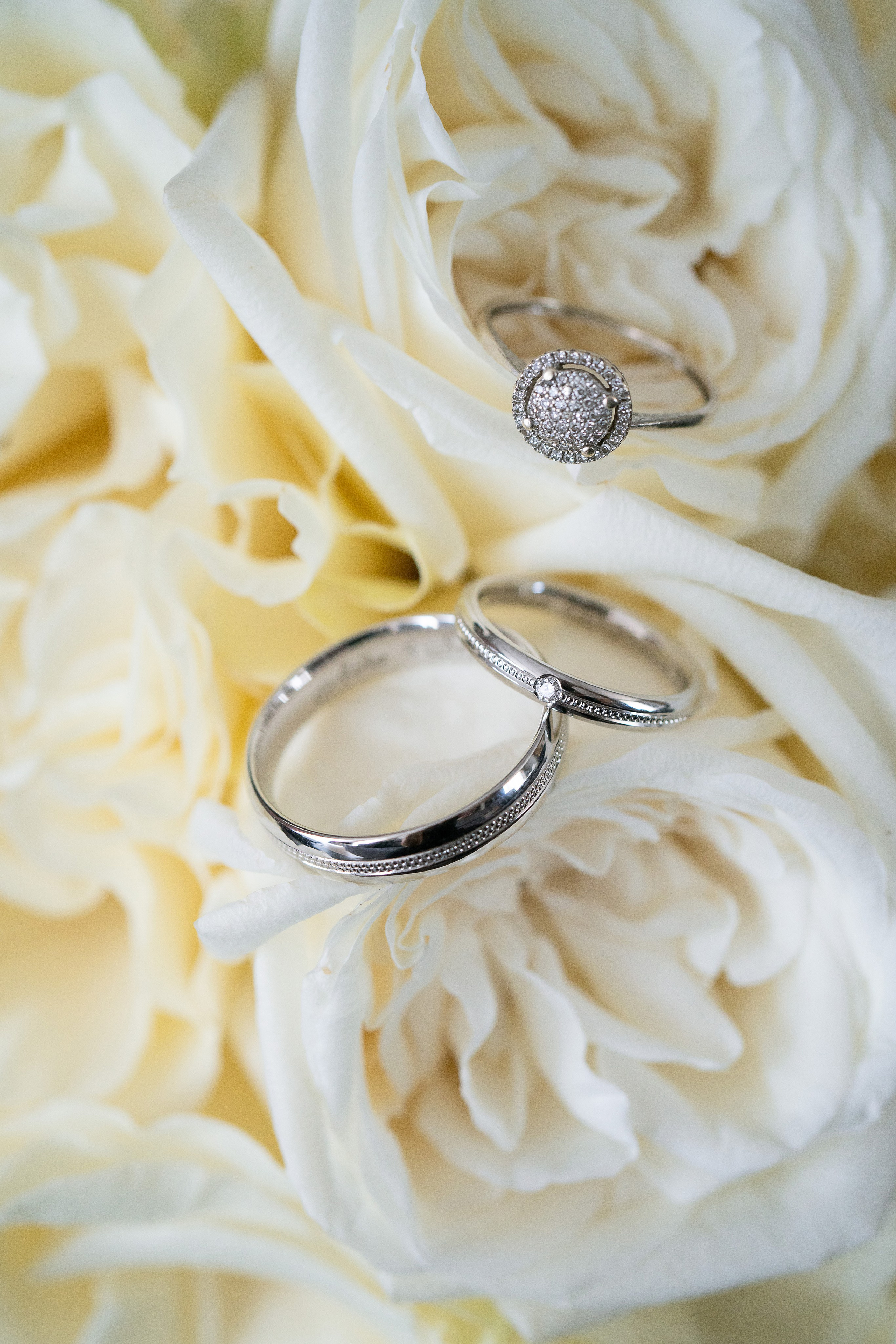 Aida & Adrian. Studio Timis