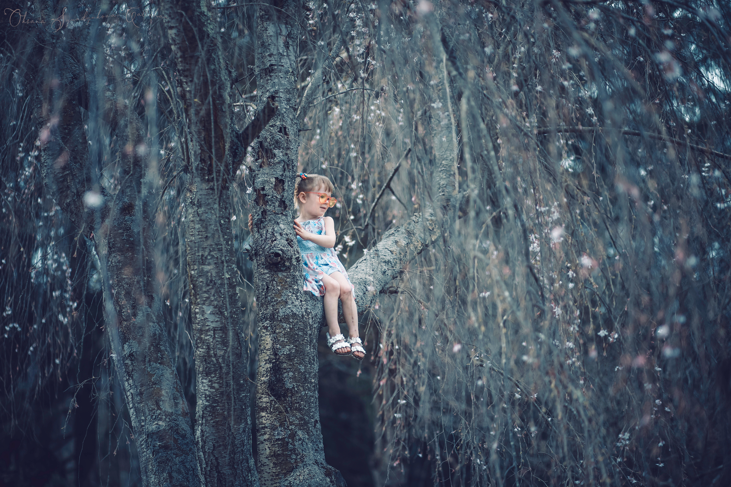 出張カメラマン　七五三　753 家族写真　家族　子供　記念写真　山梨県　東京　静岡　長野. Kids and Family Photographer in Japan　子供と家族の撮影　日本