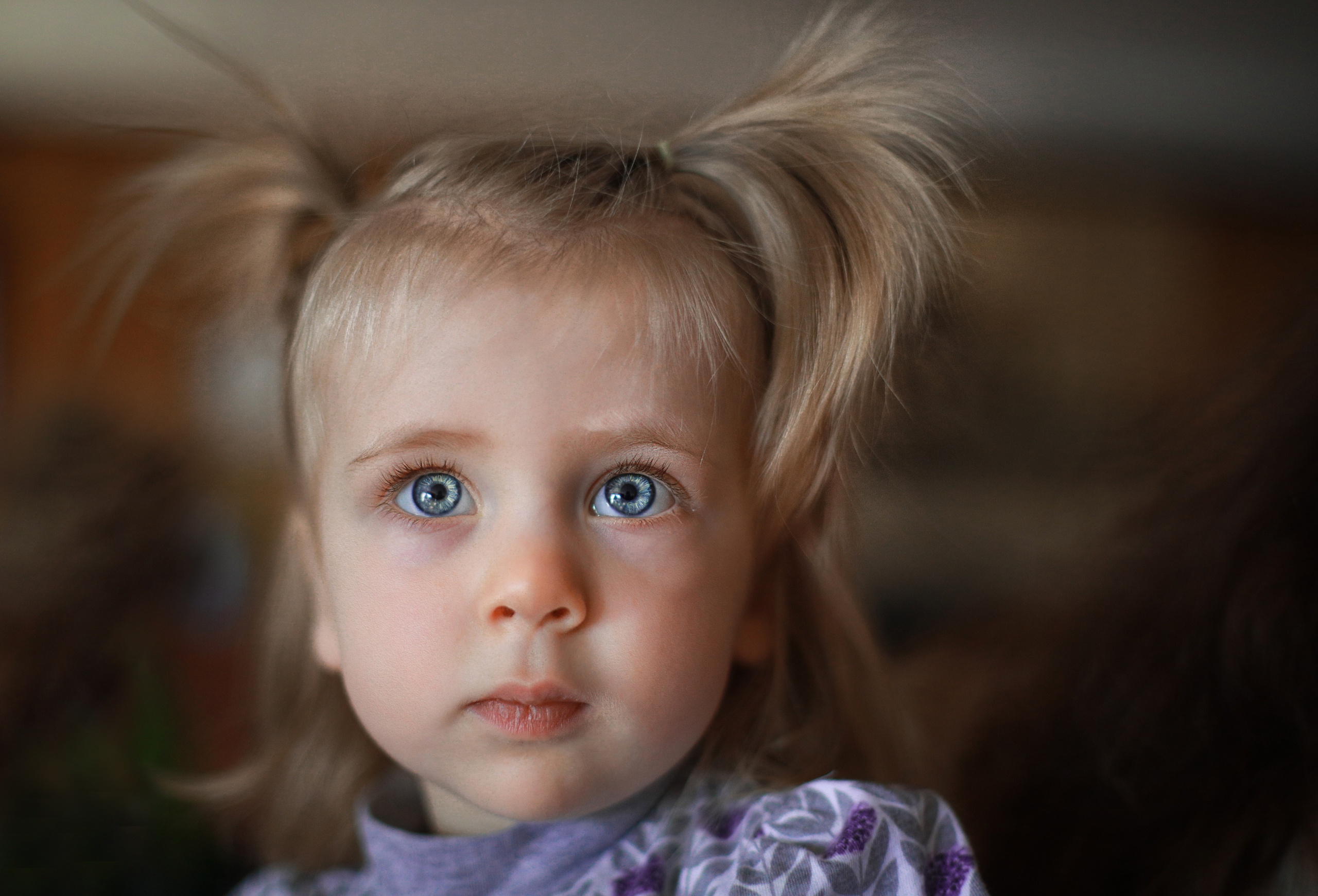 出張カメラマン　七五三　753 家族写真　家族　子供　記念写真　山梨県　東京　静岡　長野. Kids and Family Photographer in Japan　子供と家族の撮影　日本