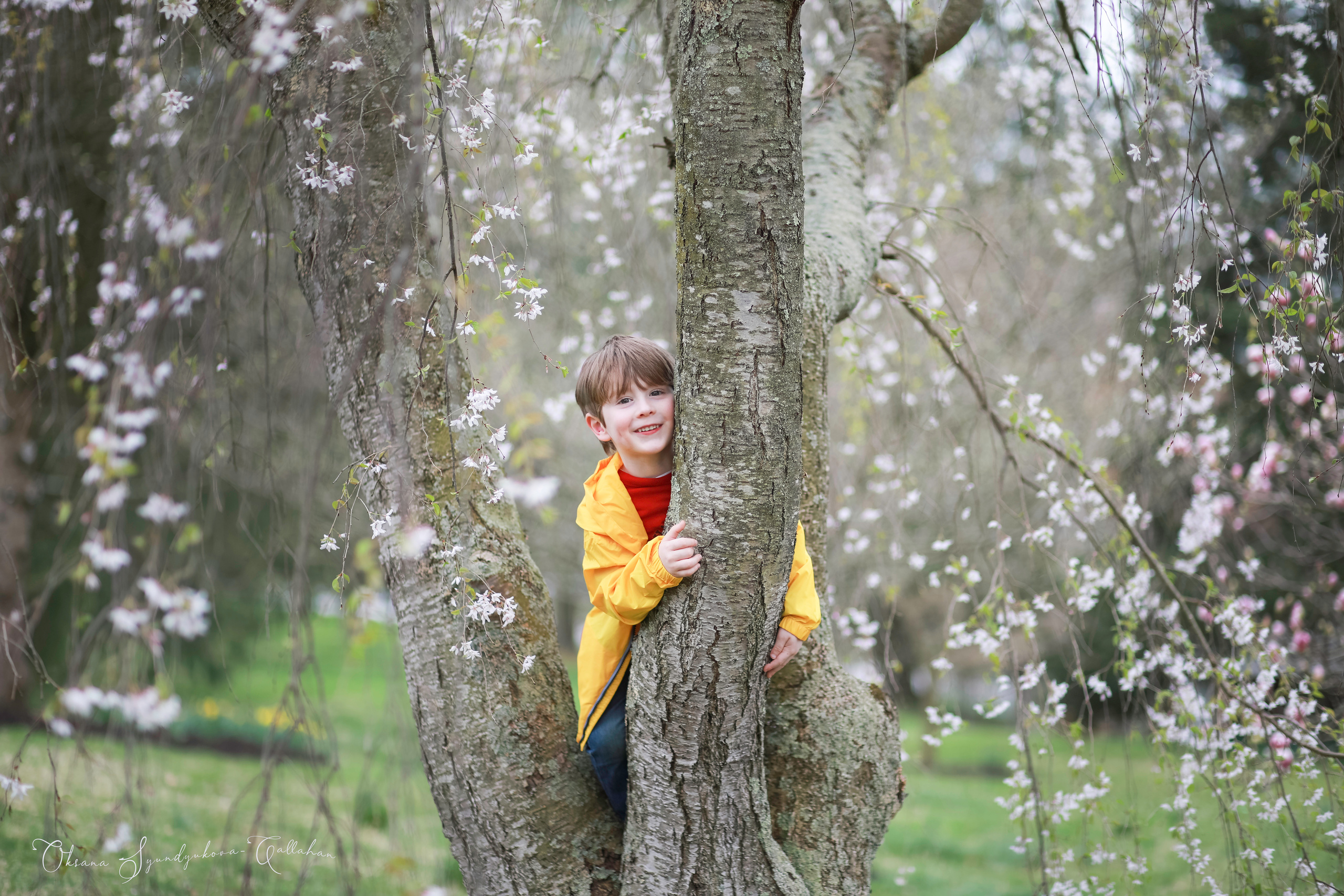 出張カメラマン　七五三　753 家族写真　家族　子供　記念写真　山梨県　東京　静岡　長野. Kids and Family Photographer in Japan　子供と家族の撮影　日本