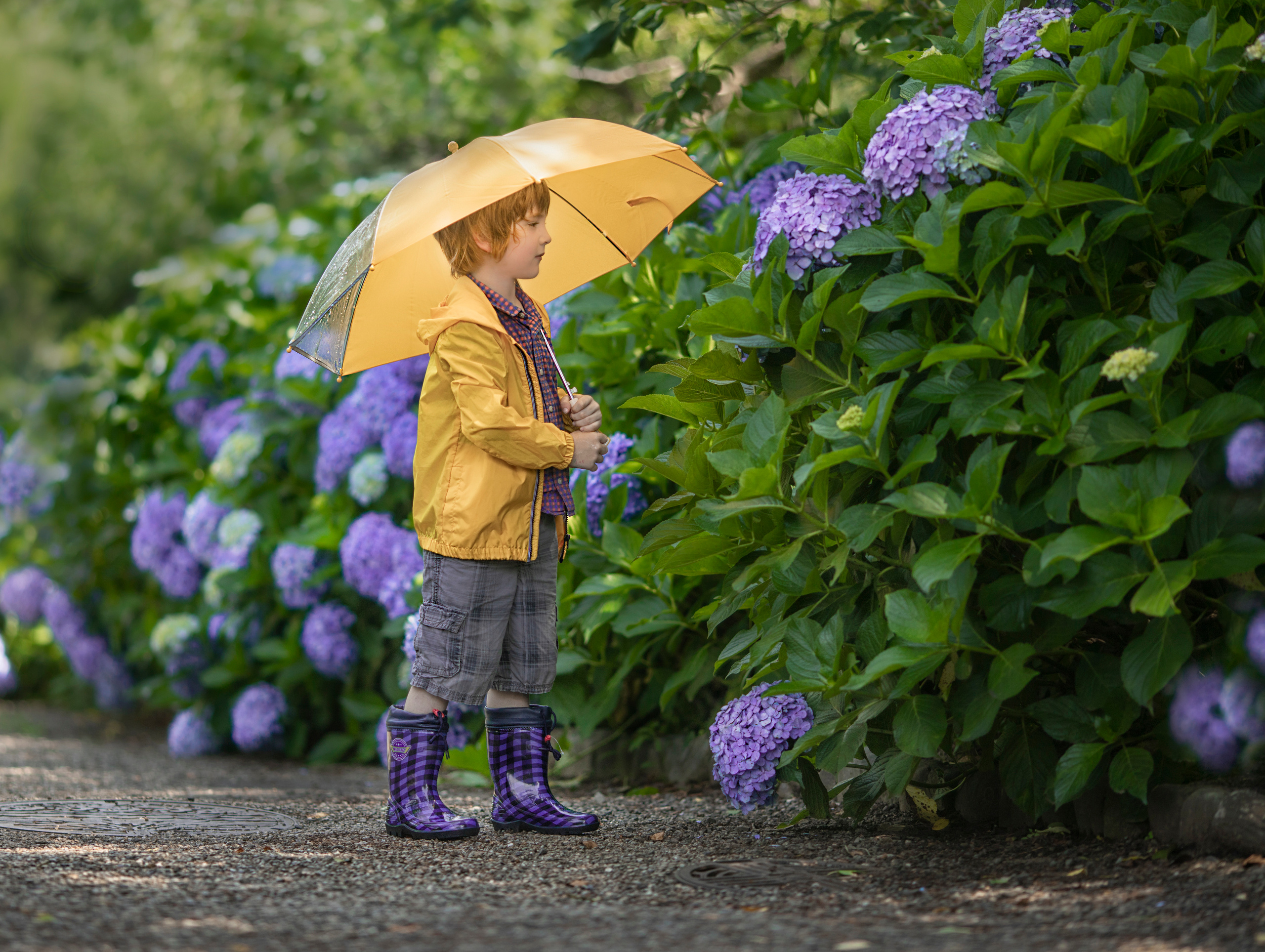 出張カメラマン　七五三　753 家族写真　家族　子供　記念写真　山梨県　東京　静岡　長野. Kids and Family Photographer in Japan　子供と家族の撮影　日本