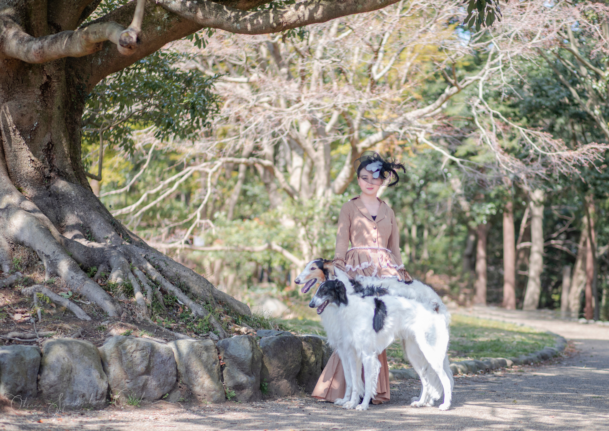 出張カメラマン　七五三　753 家族写真　家族　子供　記念写真　山梨県　東京　静岡　長野. Kids and Family Photographer in Japan　子供と家族の撮影　日本