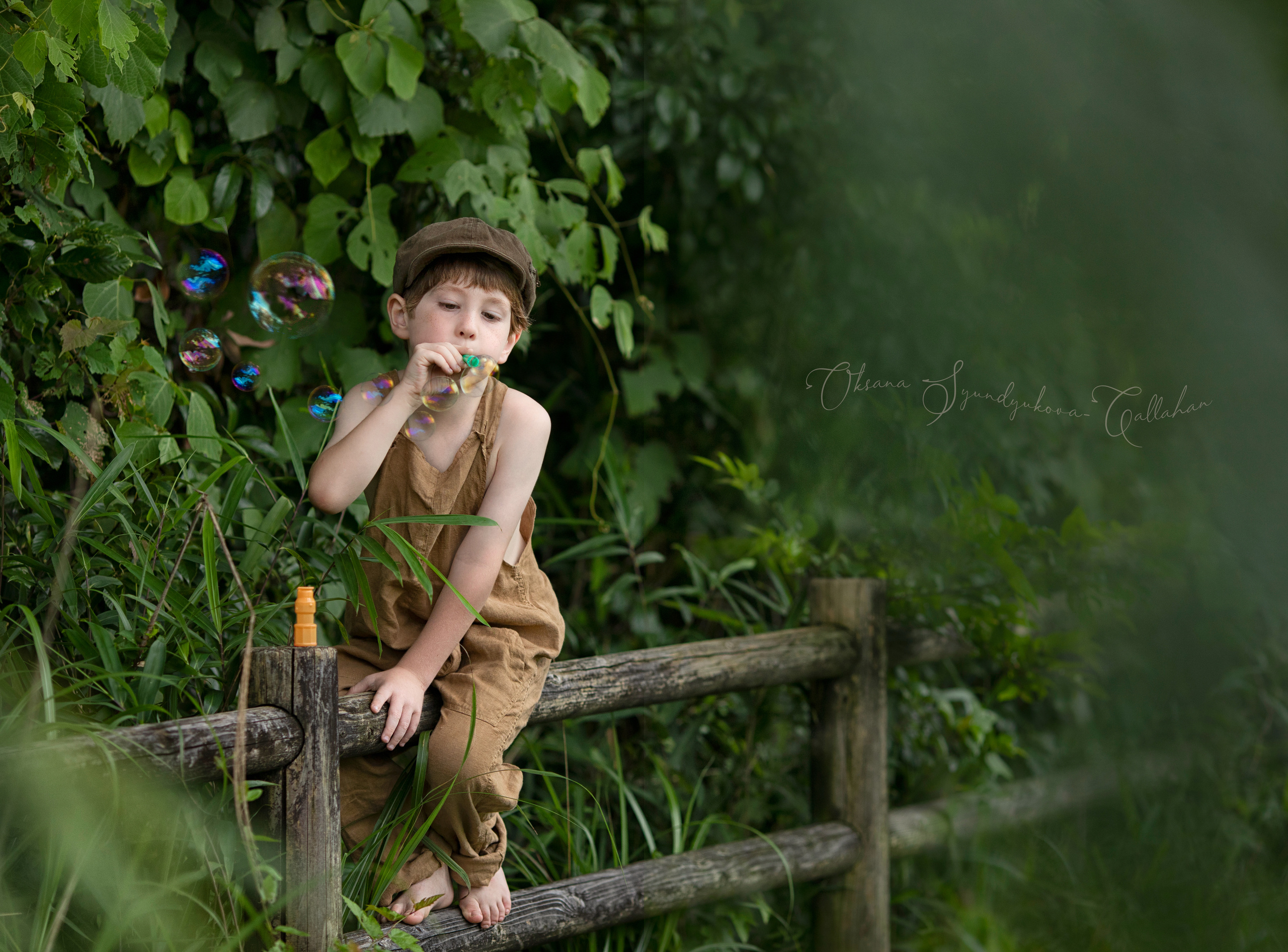 出張カメラマン　七五三　753 家族写真　家族　子供　記念写真　山梨県　東京　静岡　長野. Kids and Family Photographer in Japan　子供と家族の撮影　日本