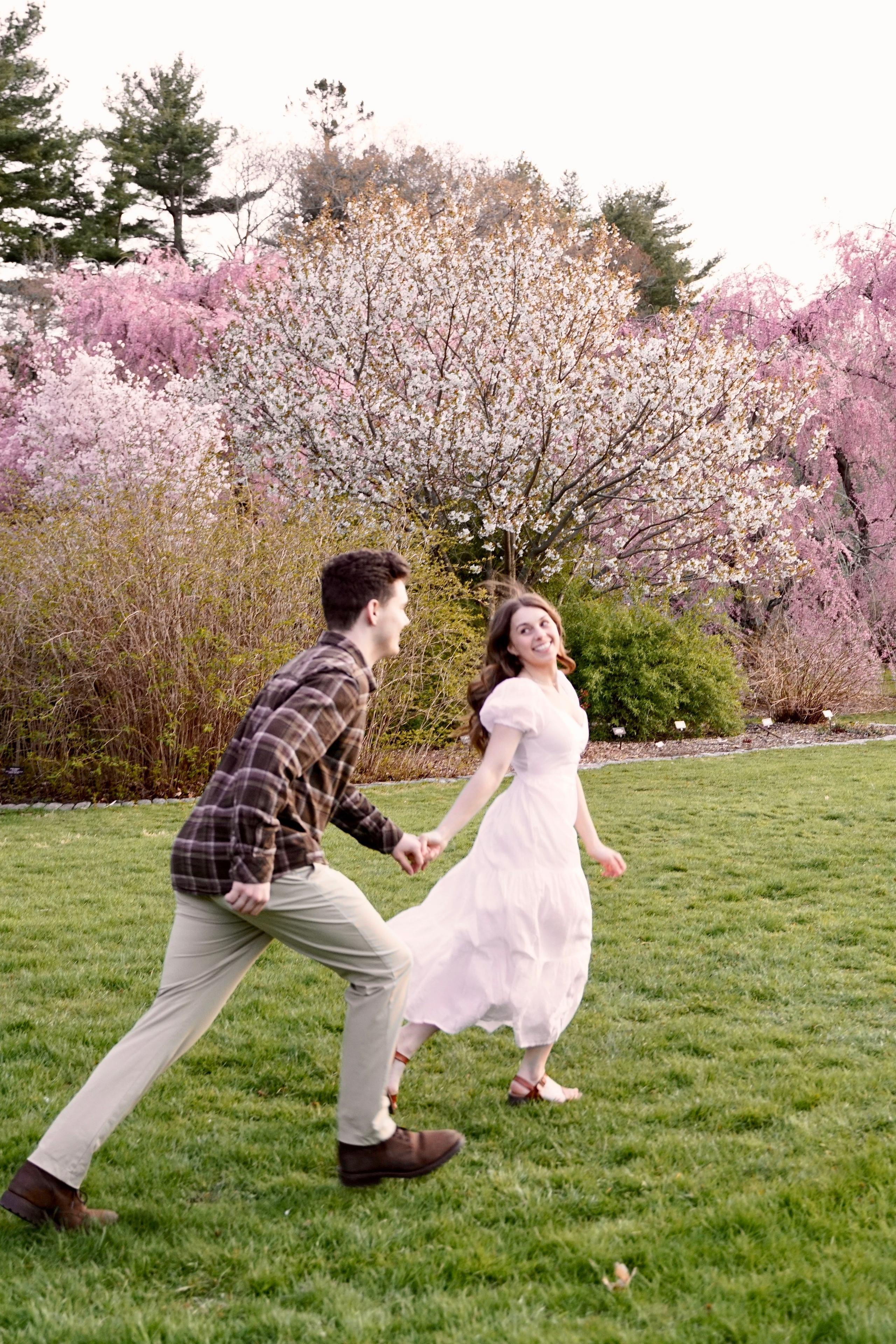 Kassandra and Andrew at Harvard Arboretum. Stefanovich Photography | Boston, MA
