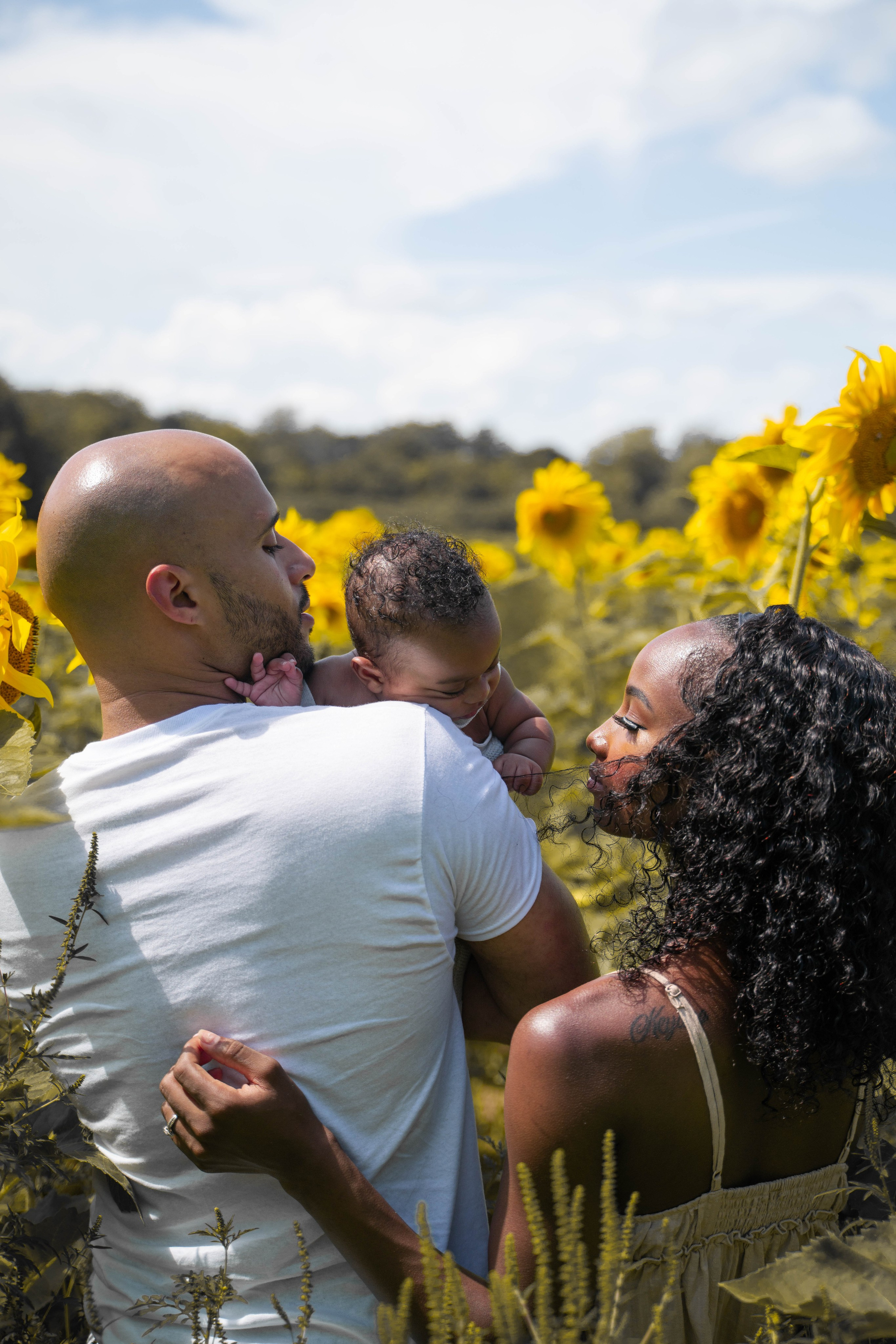 Jennifer and Louis at Sunflowers Farm. Stefanovich Photography | Boston, MA