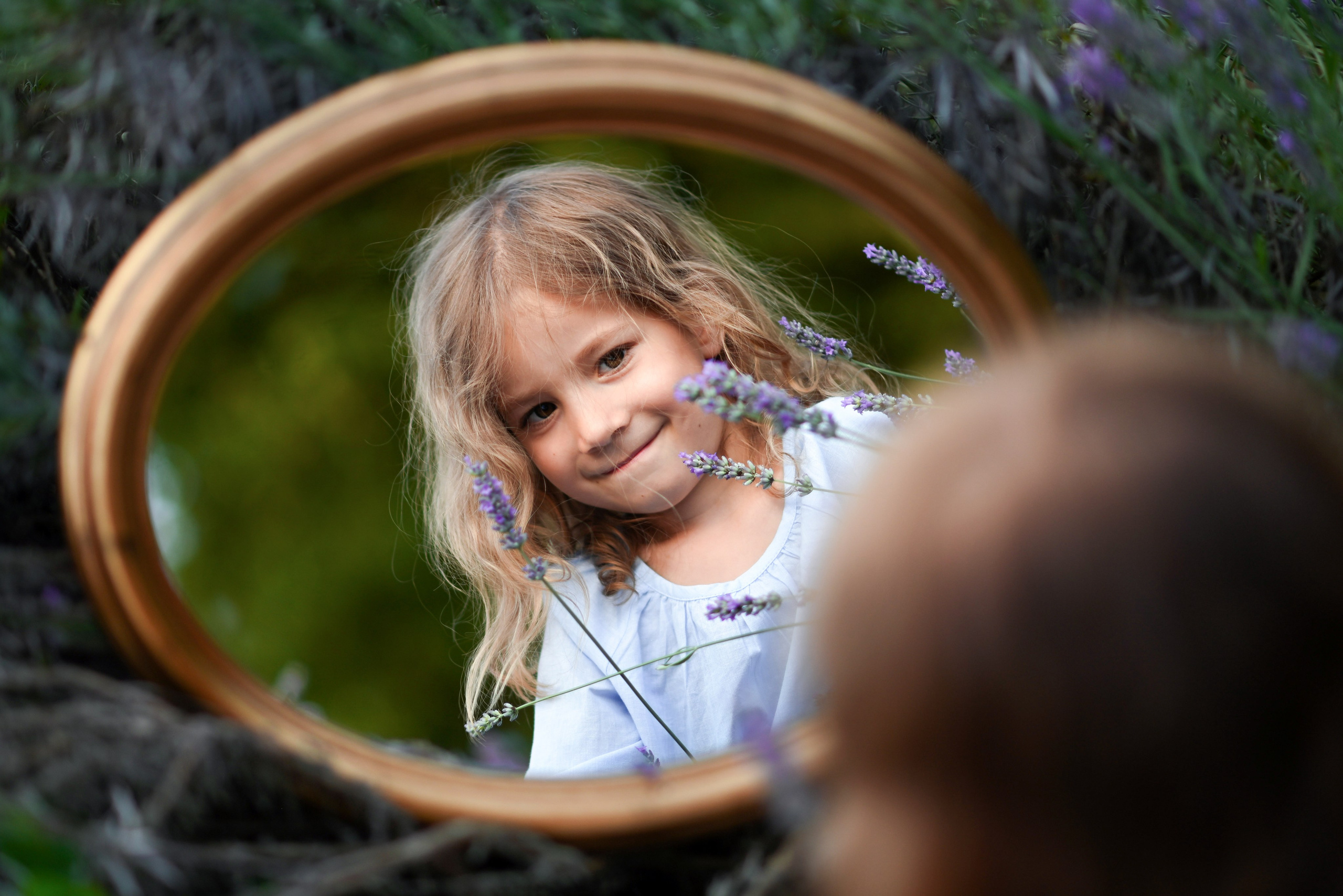 Lavanda. Uliana Radeka Fotograf