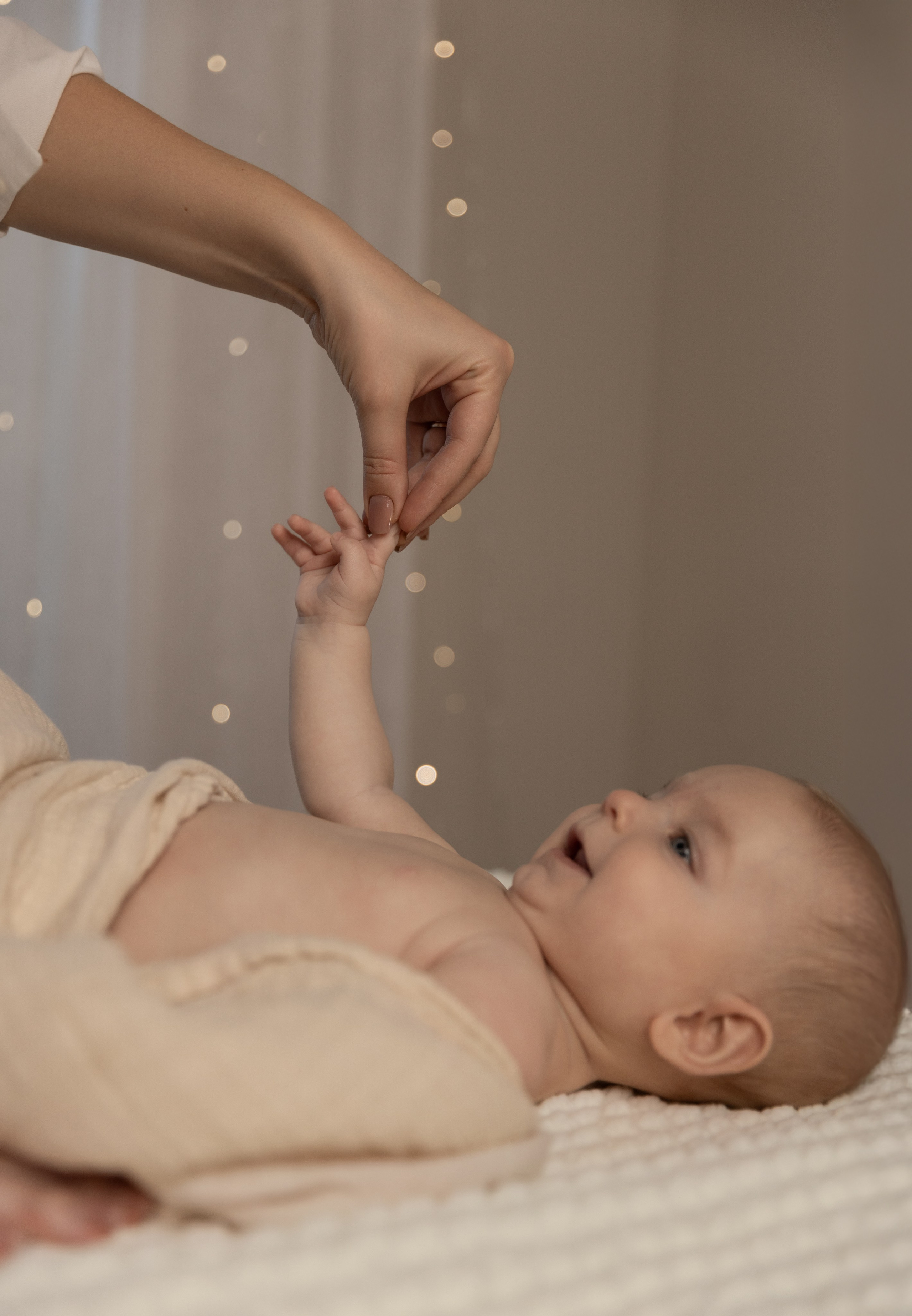 Newborn. Family and Wedding photographer