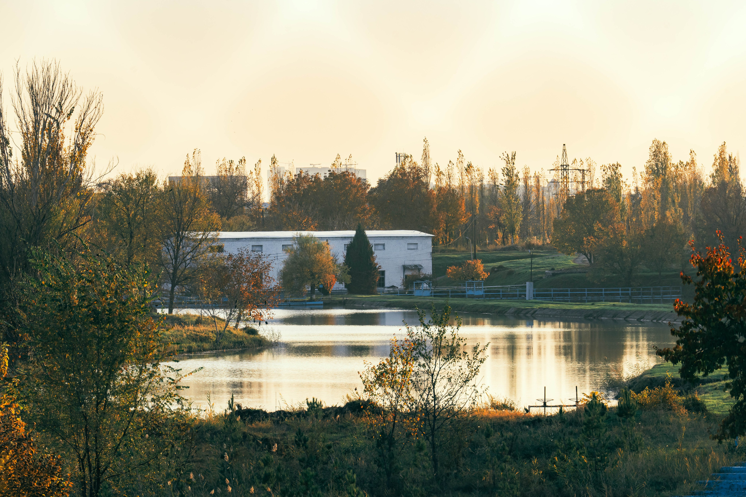Ташкентская осень. Георгий Намазов | Фотограф в Ташкенте