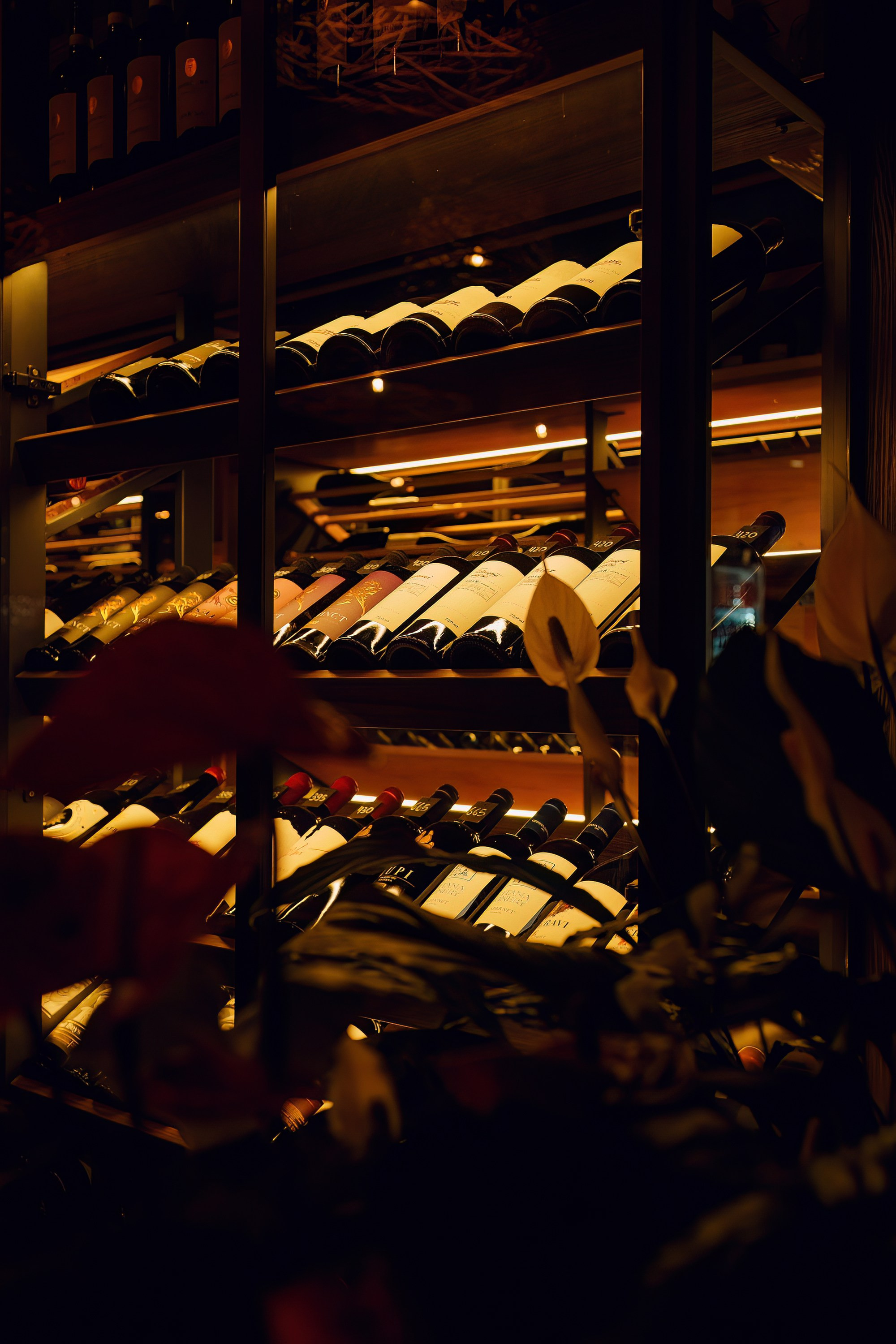 Vino Pizza_1. Fotograf în Chișinău