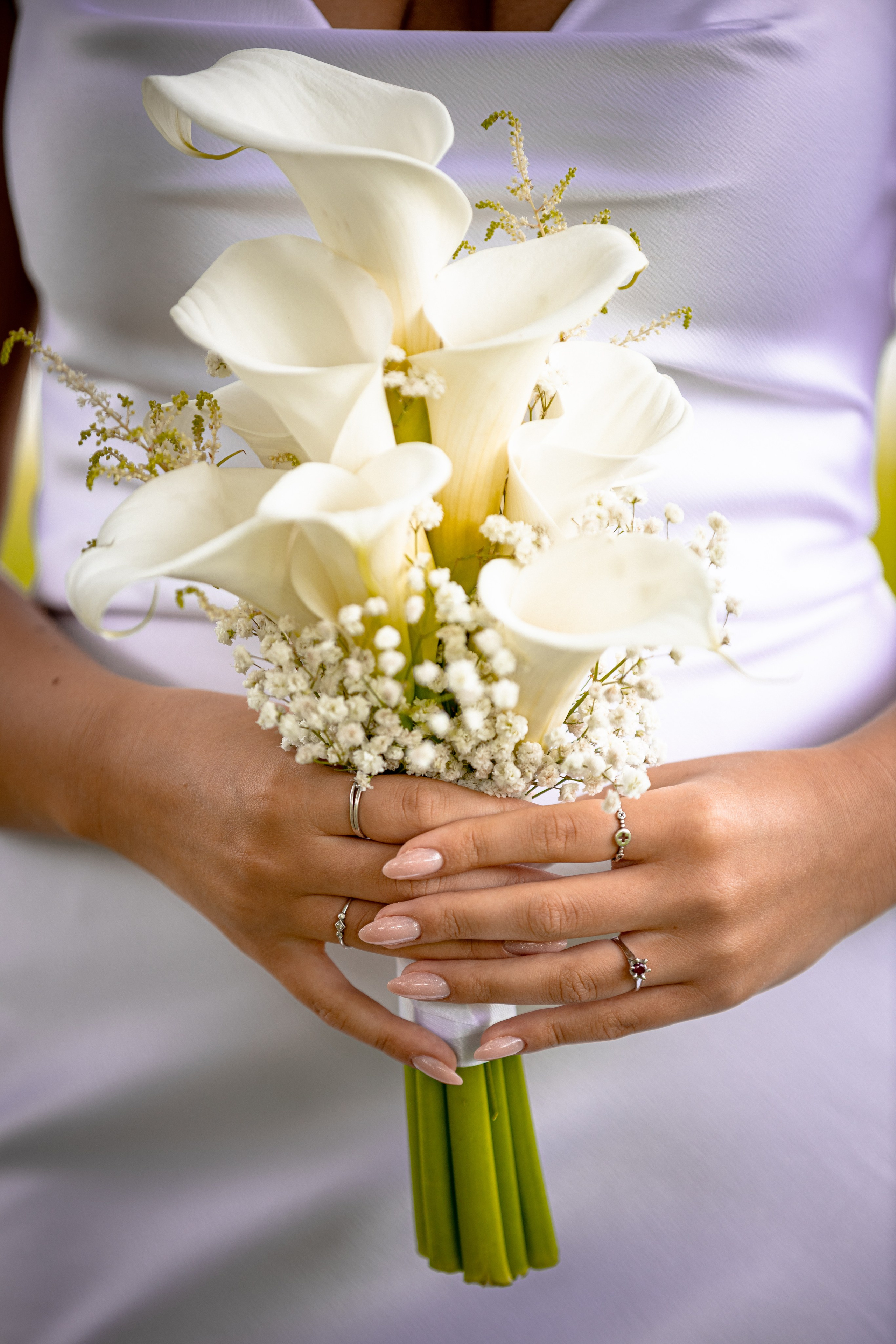 Lara & Vuk. Marko Tucić Photography | Fotograf Zrenjanin