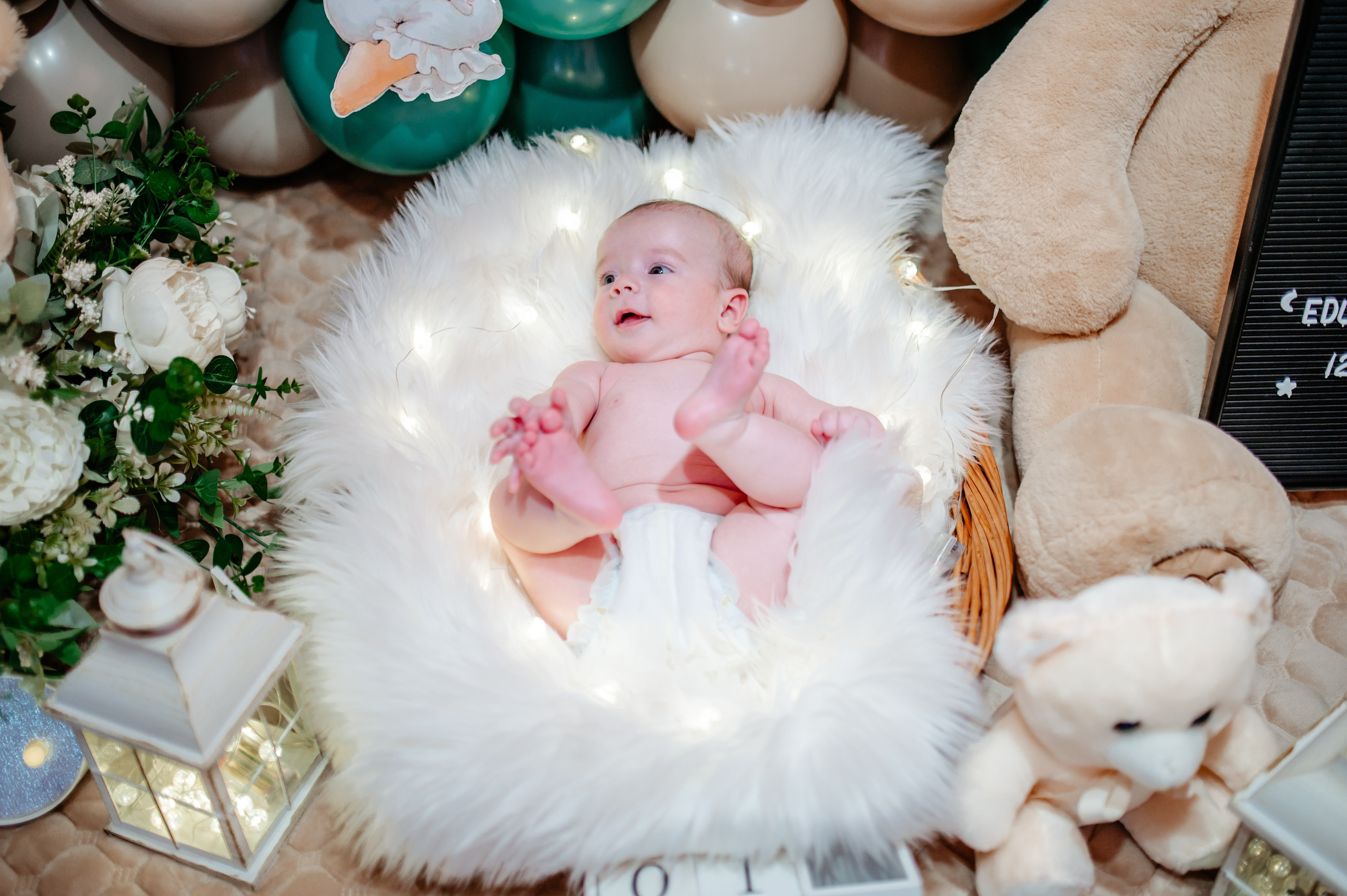 Botez Eduard. Ionut Birceanu