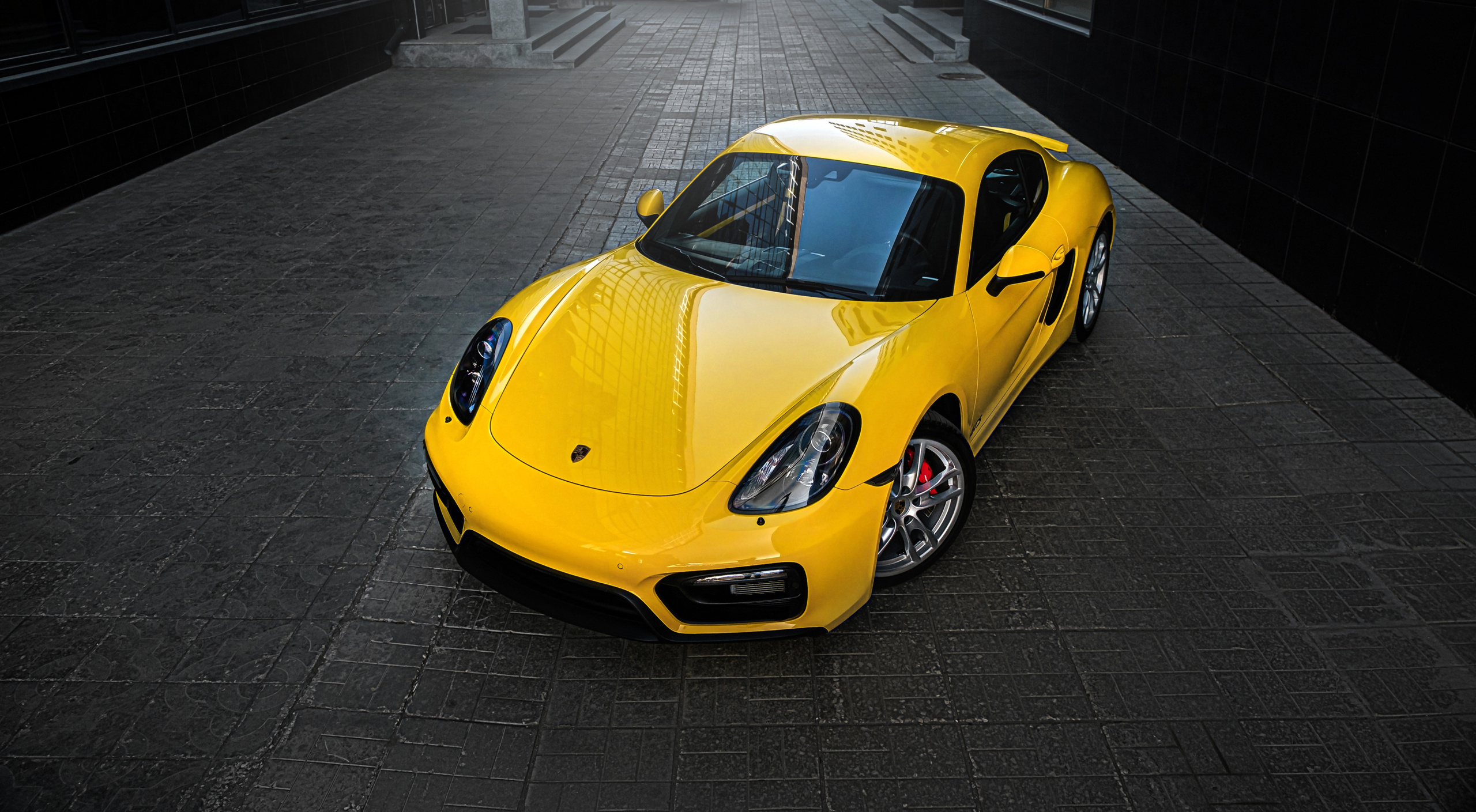 Фотограф в Ташкенте Павел Насенников