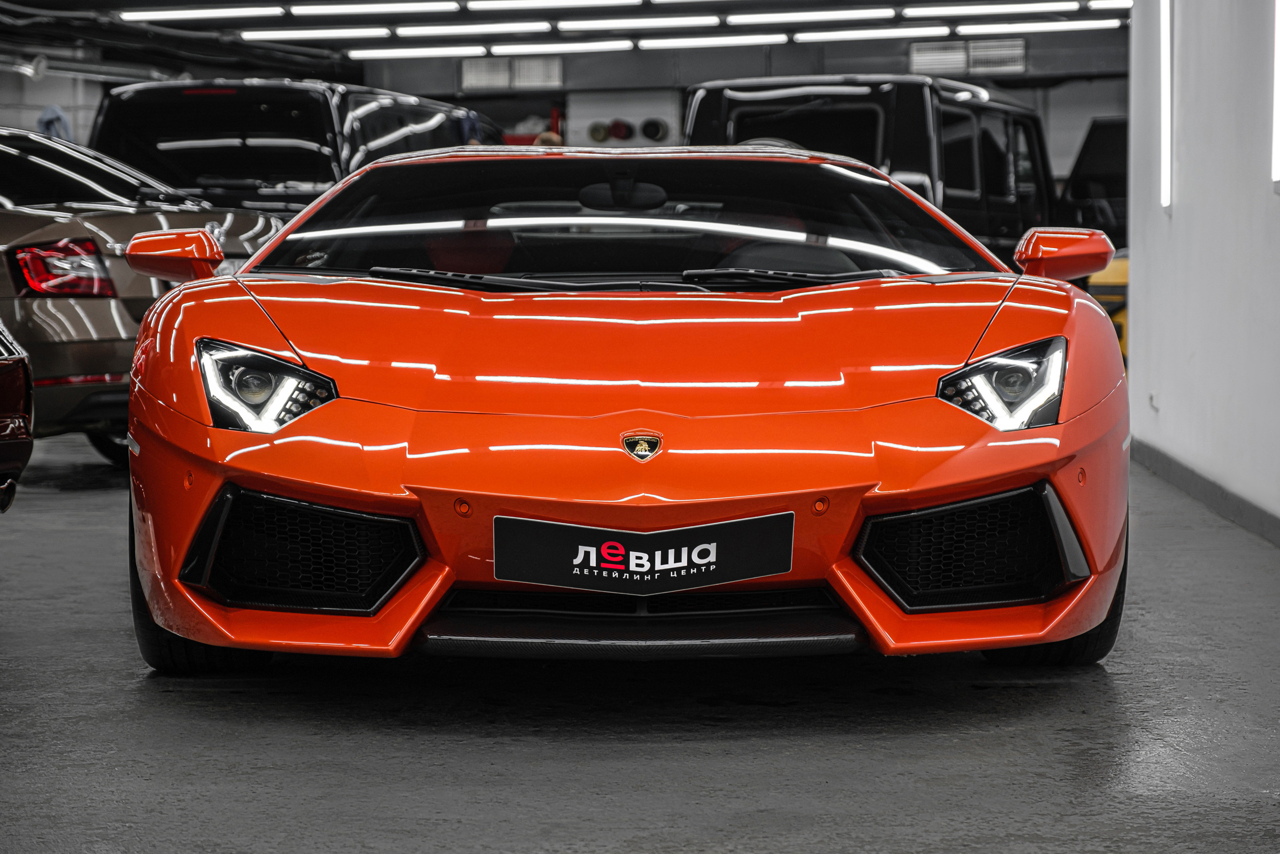 Фотограф в Ташкенте Павел Насенников