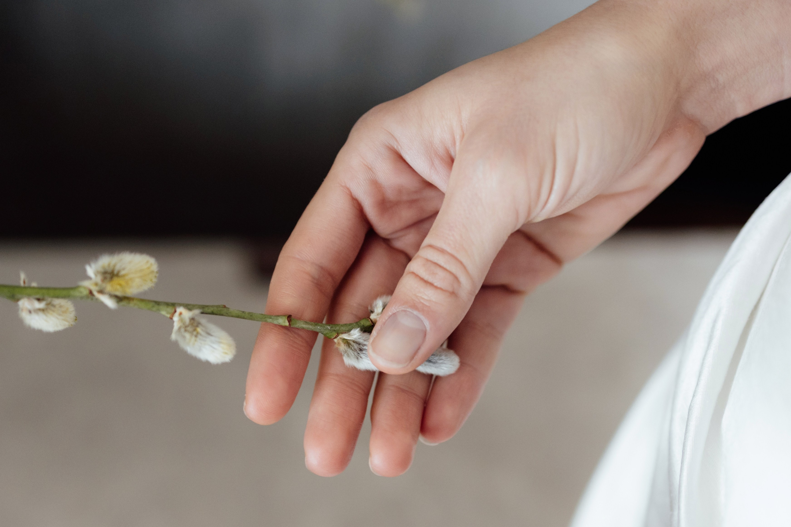 Rolling in Roses. Timeless Wedding & Events Photography. Based in London, working across Europe