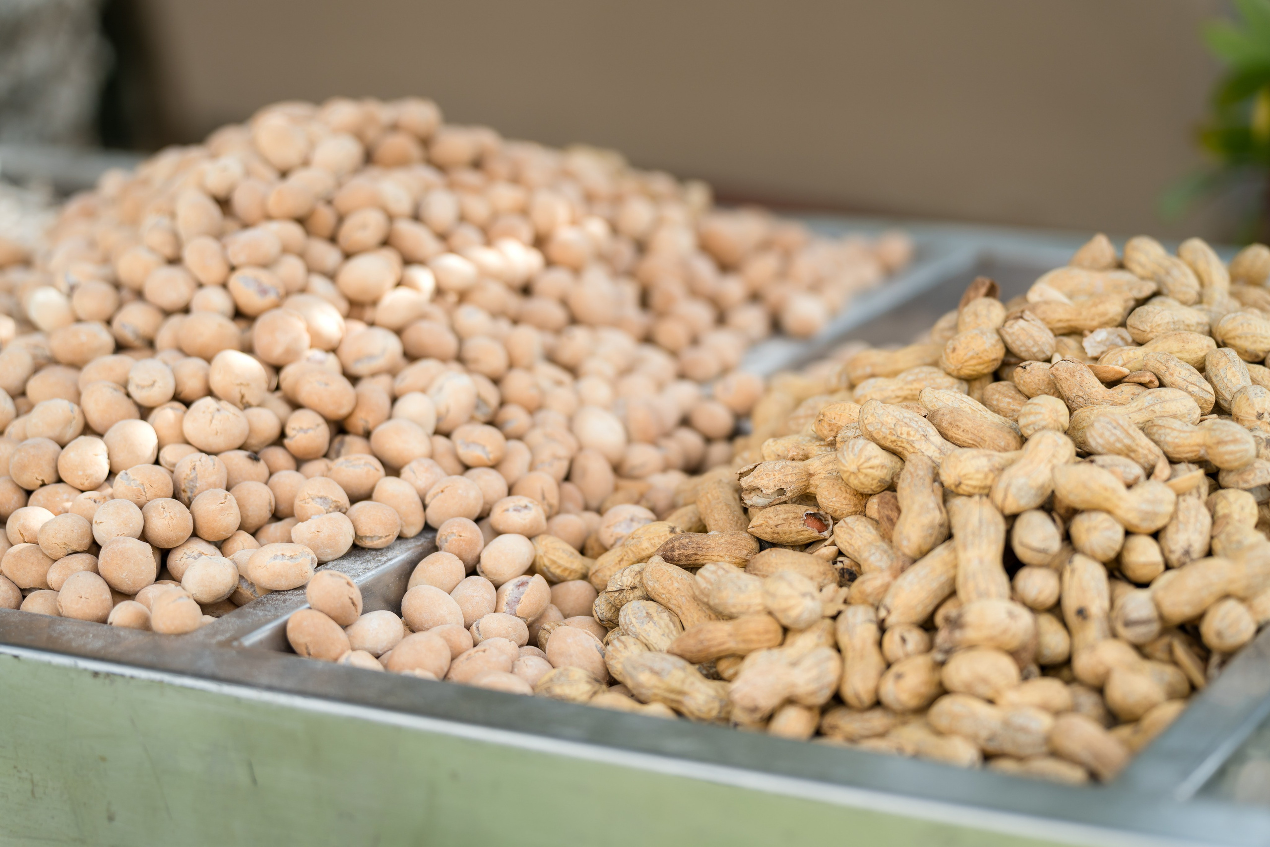 Shirley & Yoav. AMIR BUCHNIK PHOTOGRAPHER