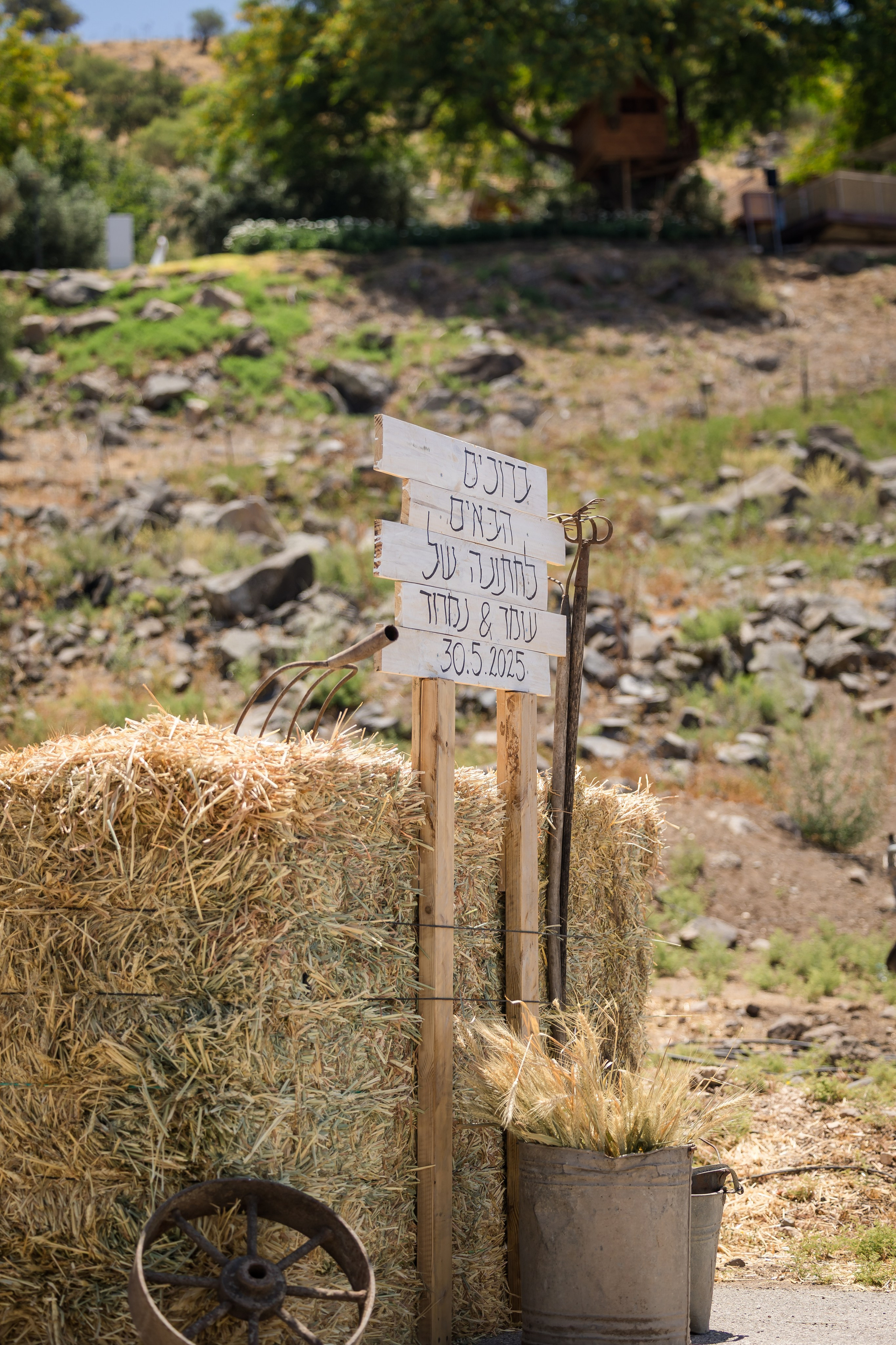 Omar & Nimrod. AMIR BUCHNIK PHOTOGRAPHER