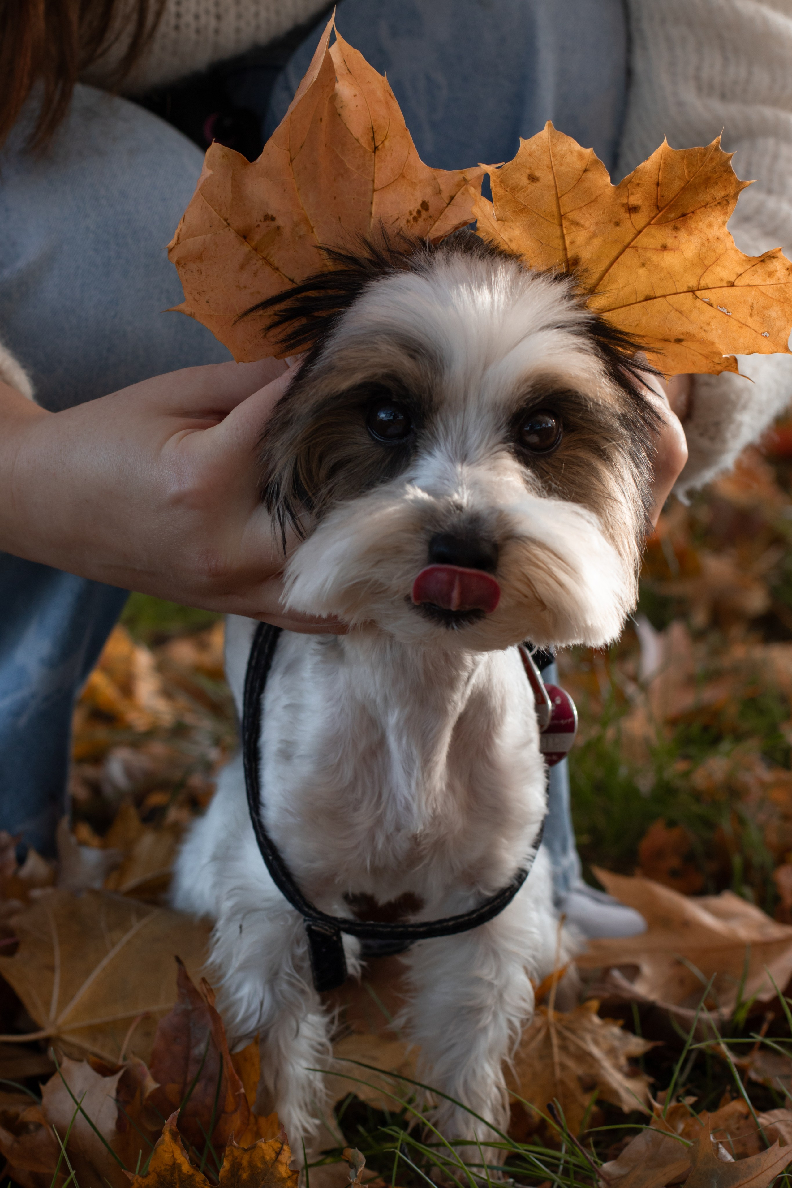 Полина и Луи. Фотограф Лейпциг