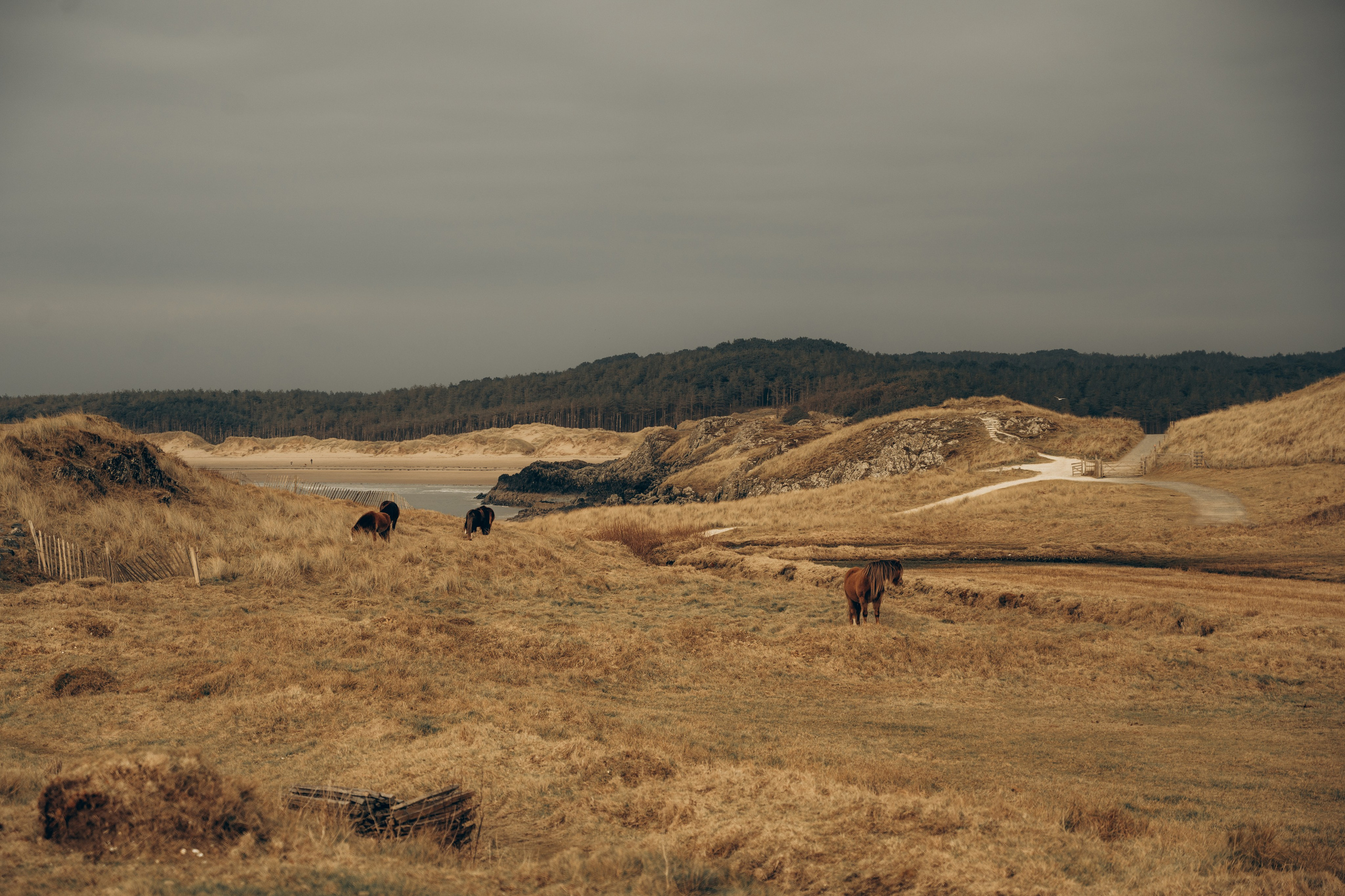 M & C session in Wales. Tania Gandrabur, photographer in West Midlands, England