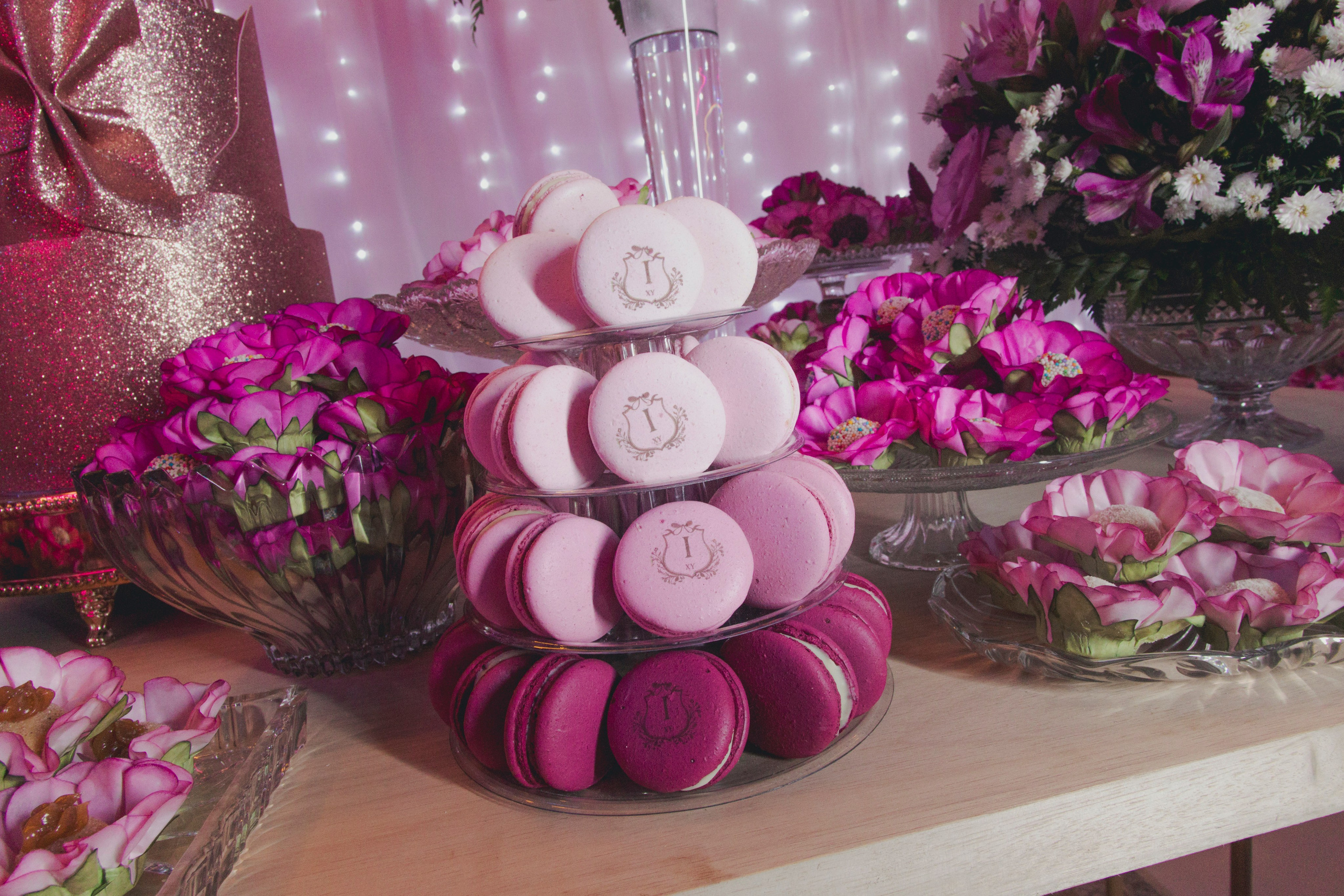 15 Anos de Isadora. Fotógrafos de casamento. empresas, família em Catanduva SP e região, Casal Gonçales