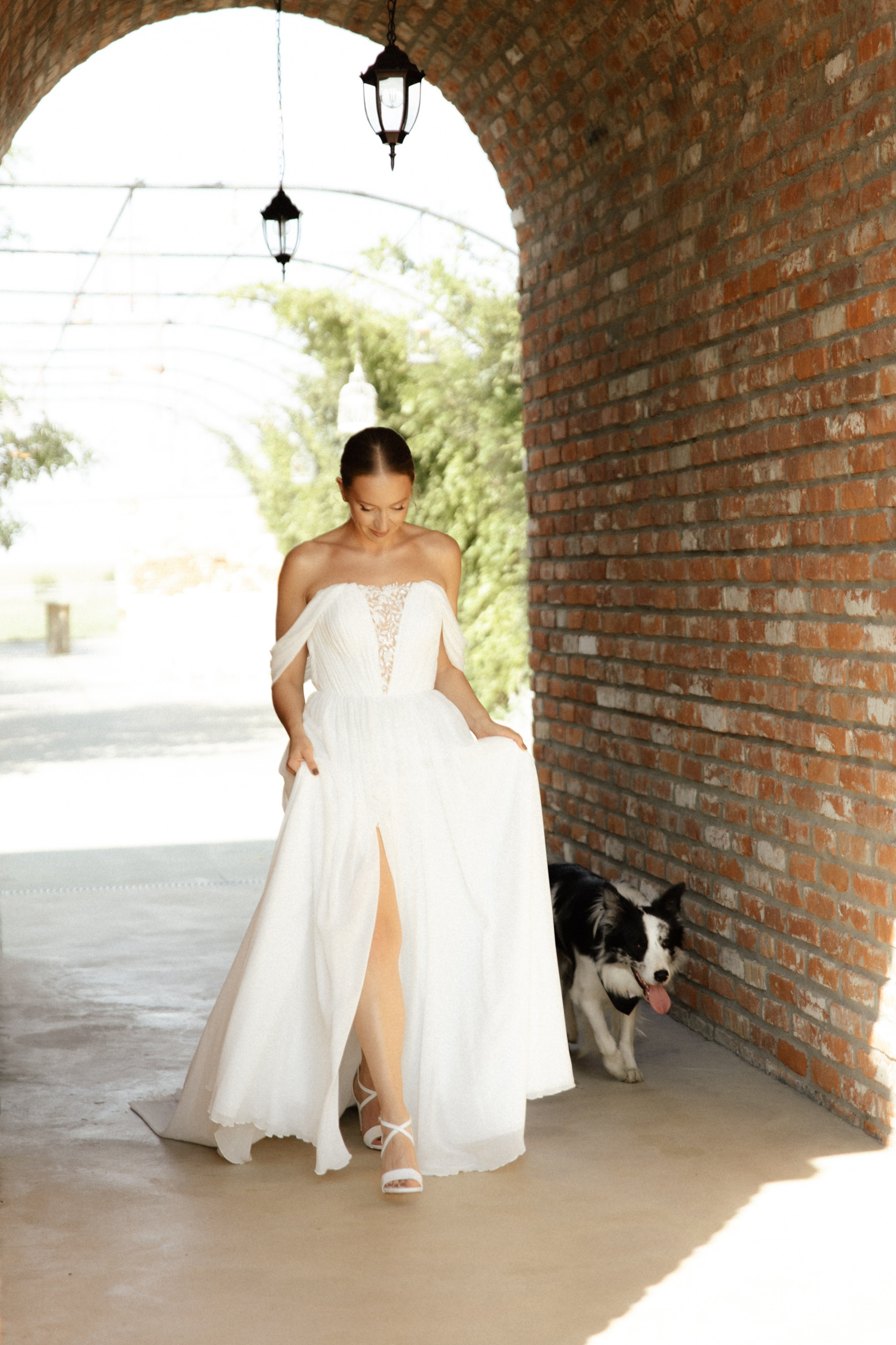 Wedding at Province Timisoara | Cristina & Robert. Wedding photographer and videographer based in Timisoara, Romania