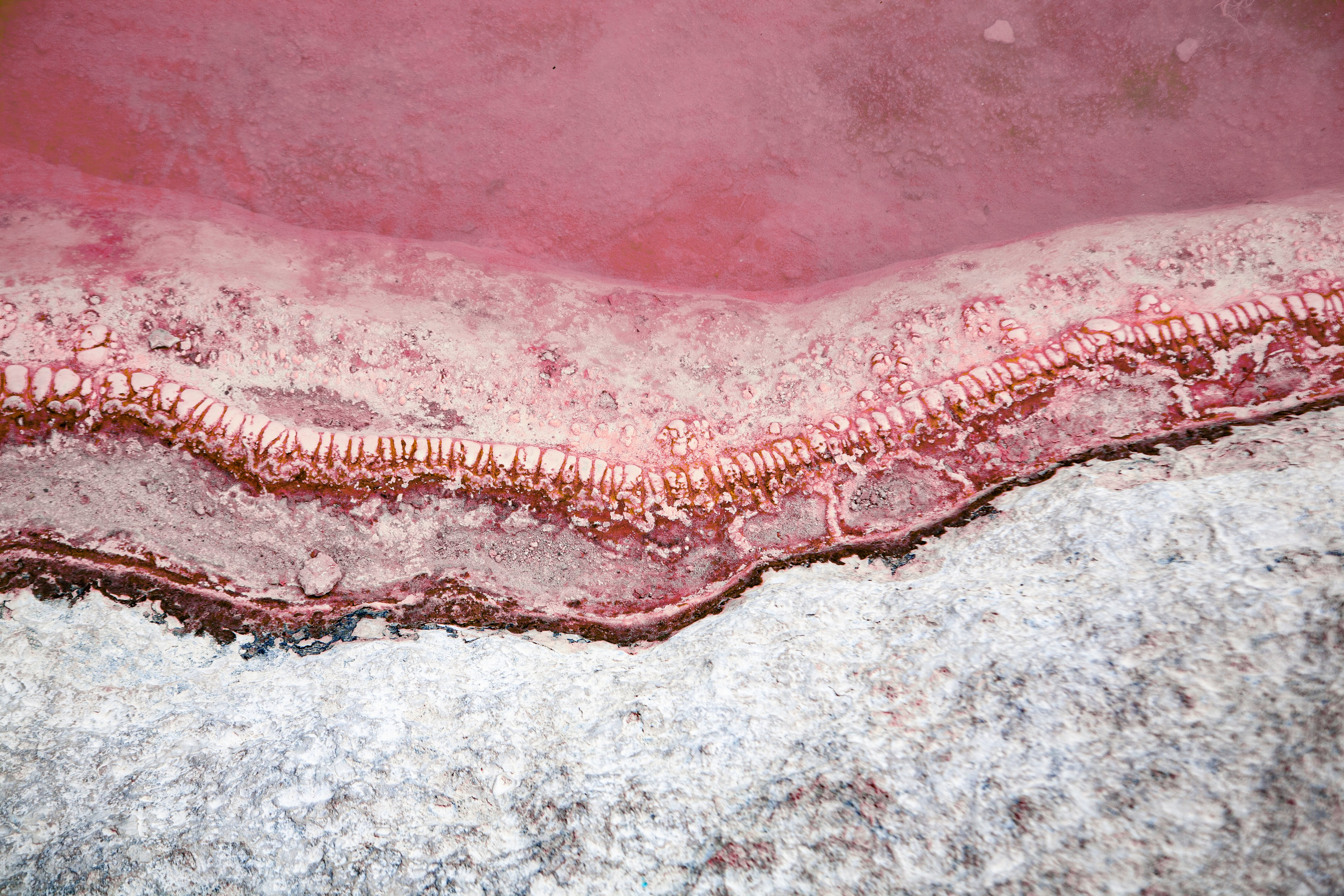 EXHIBITION. Lero Photographer and a set designer|individual custom portrait and advertising photography in Zutphen