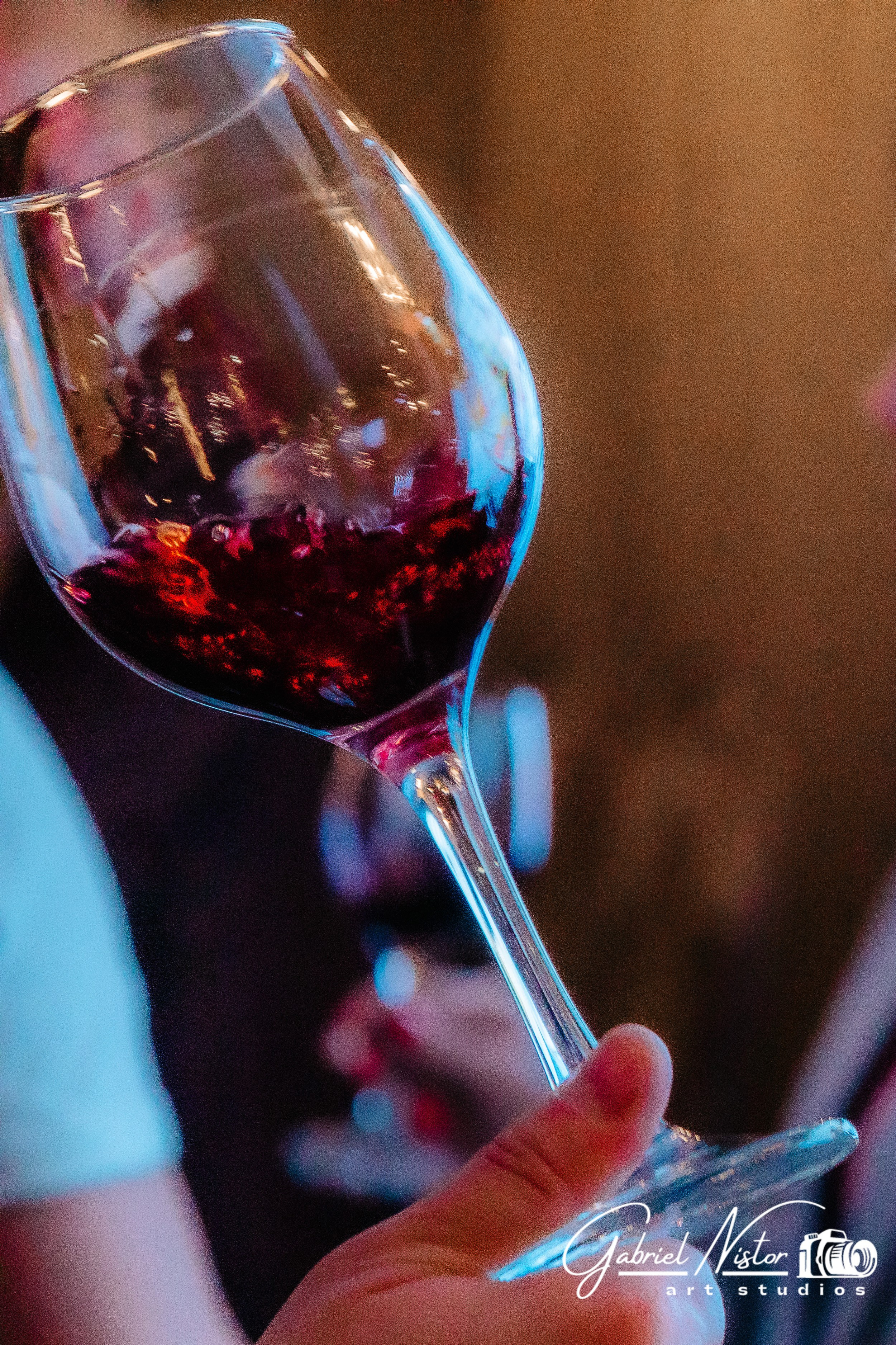 Pleiada Iasi - Wine & Friends. Gabriel Nistor Art-Studios — Photographer / Videographer Iasi