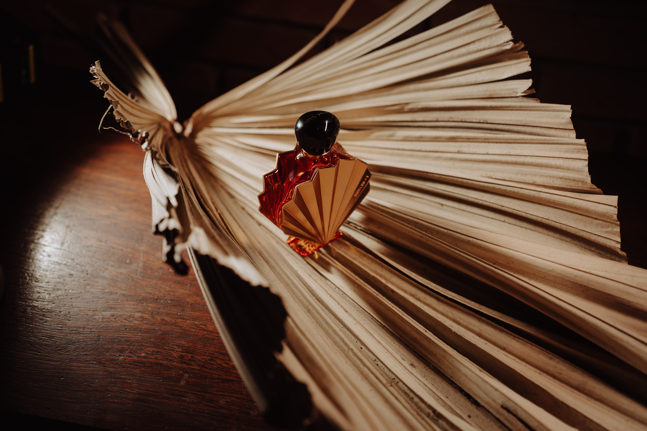 Jessica & Miguel. O Casal Dos Noivos