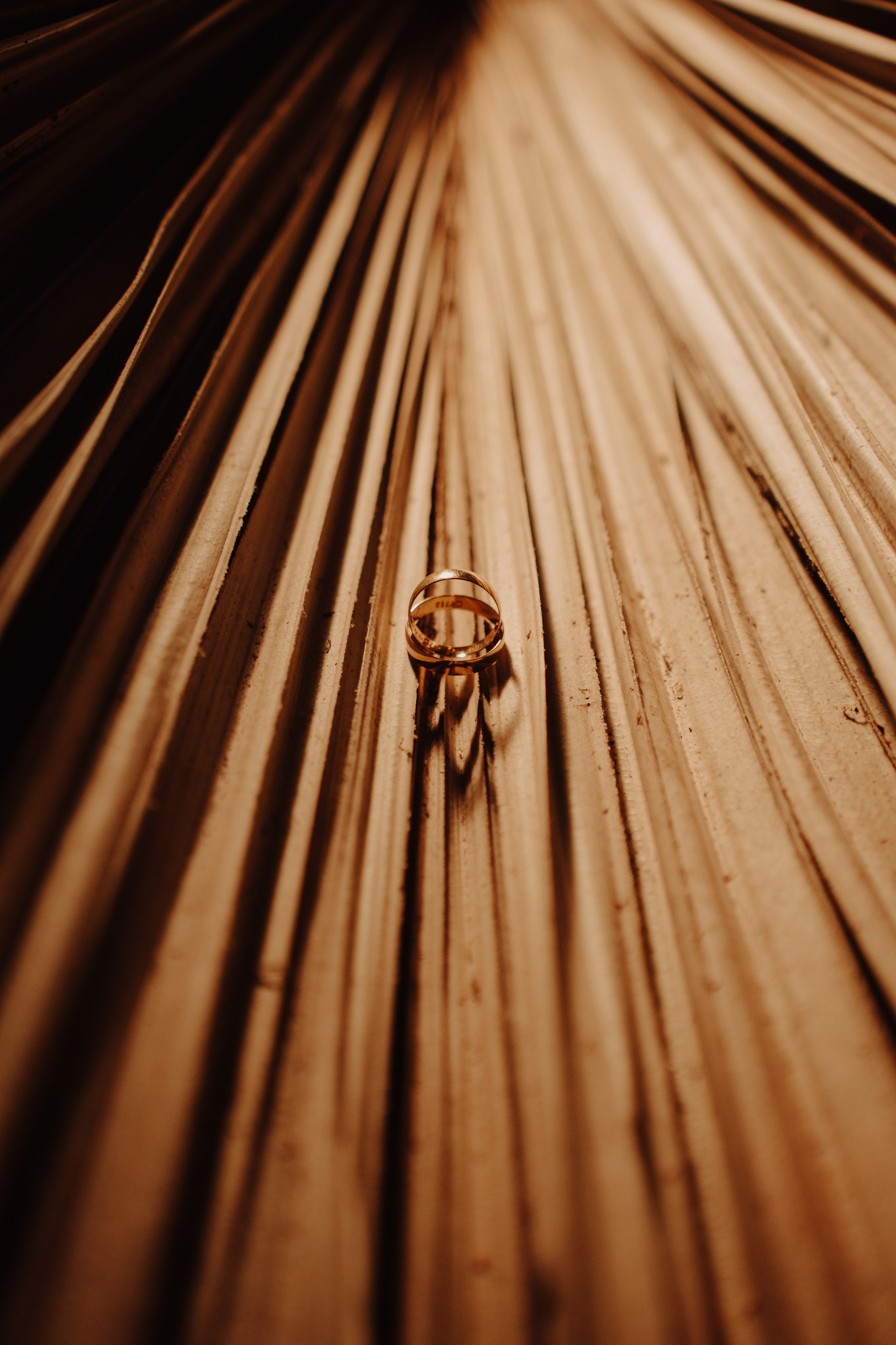 Jessica & Miguel. O Casal Dos Noivos