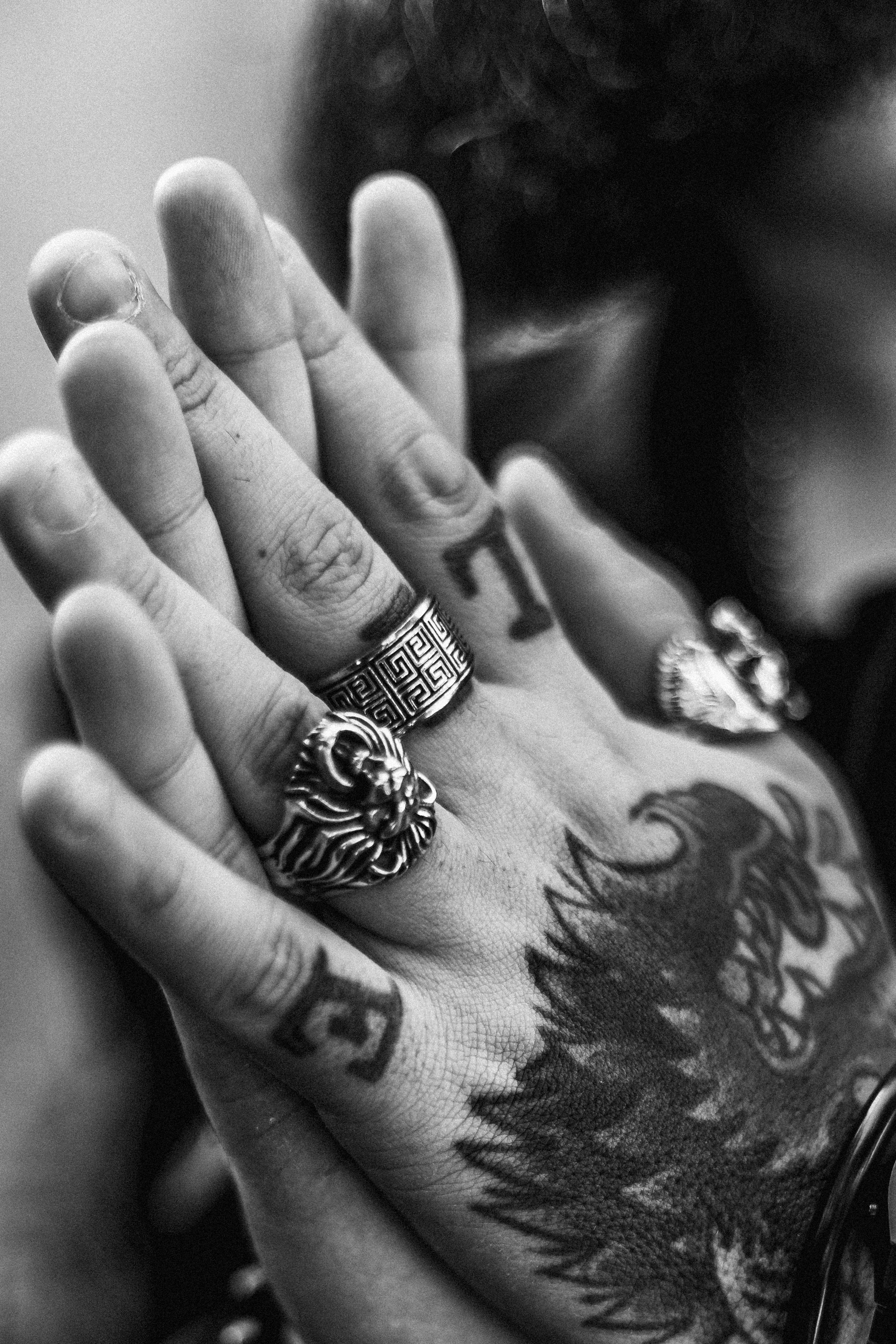 Produtos. Fernando Giopato