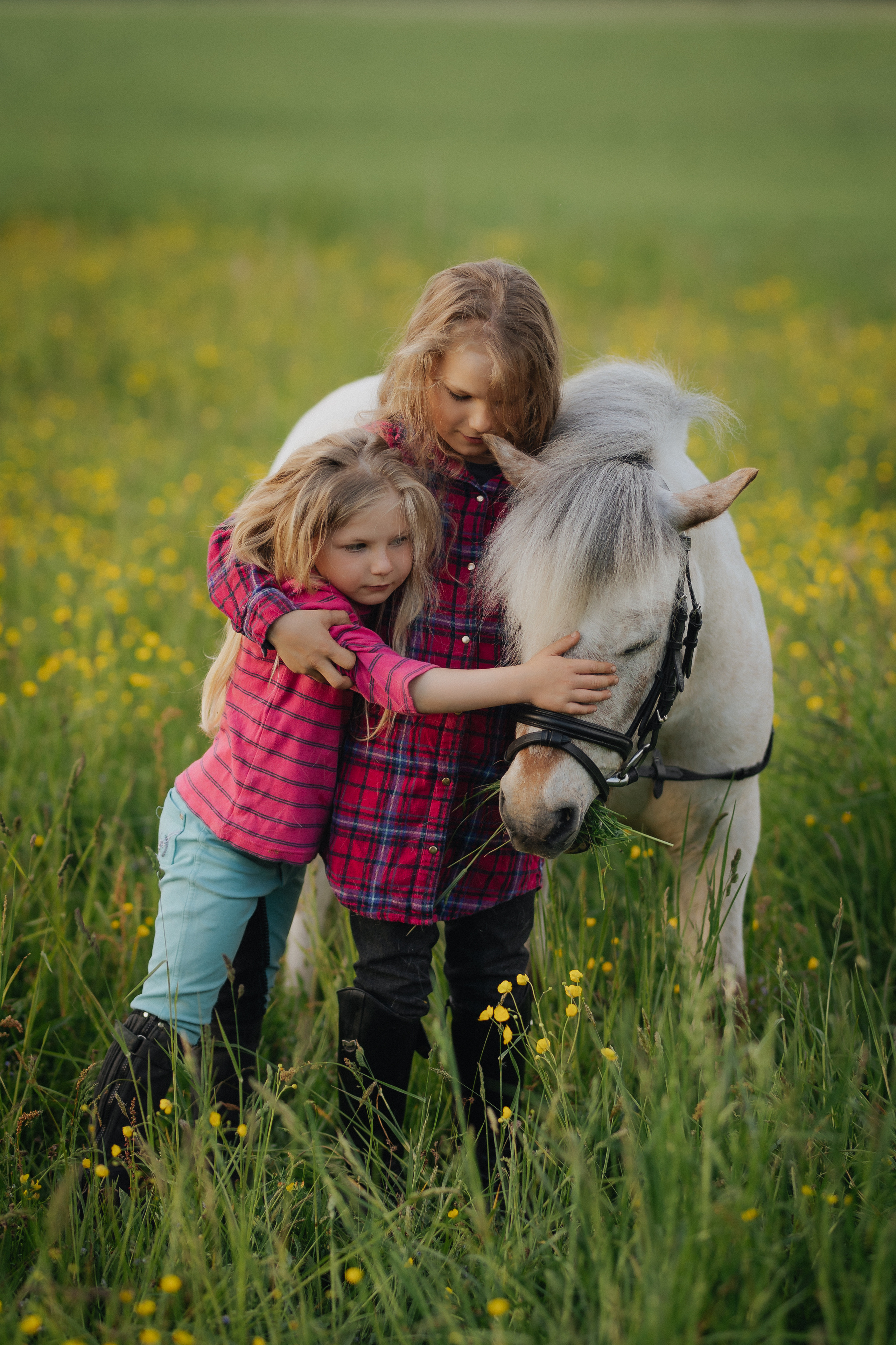 Vaikų fotosesija su poniu Marijampolėje