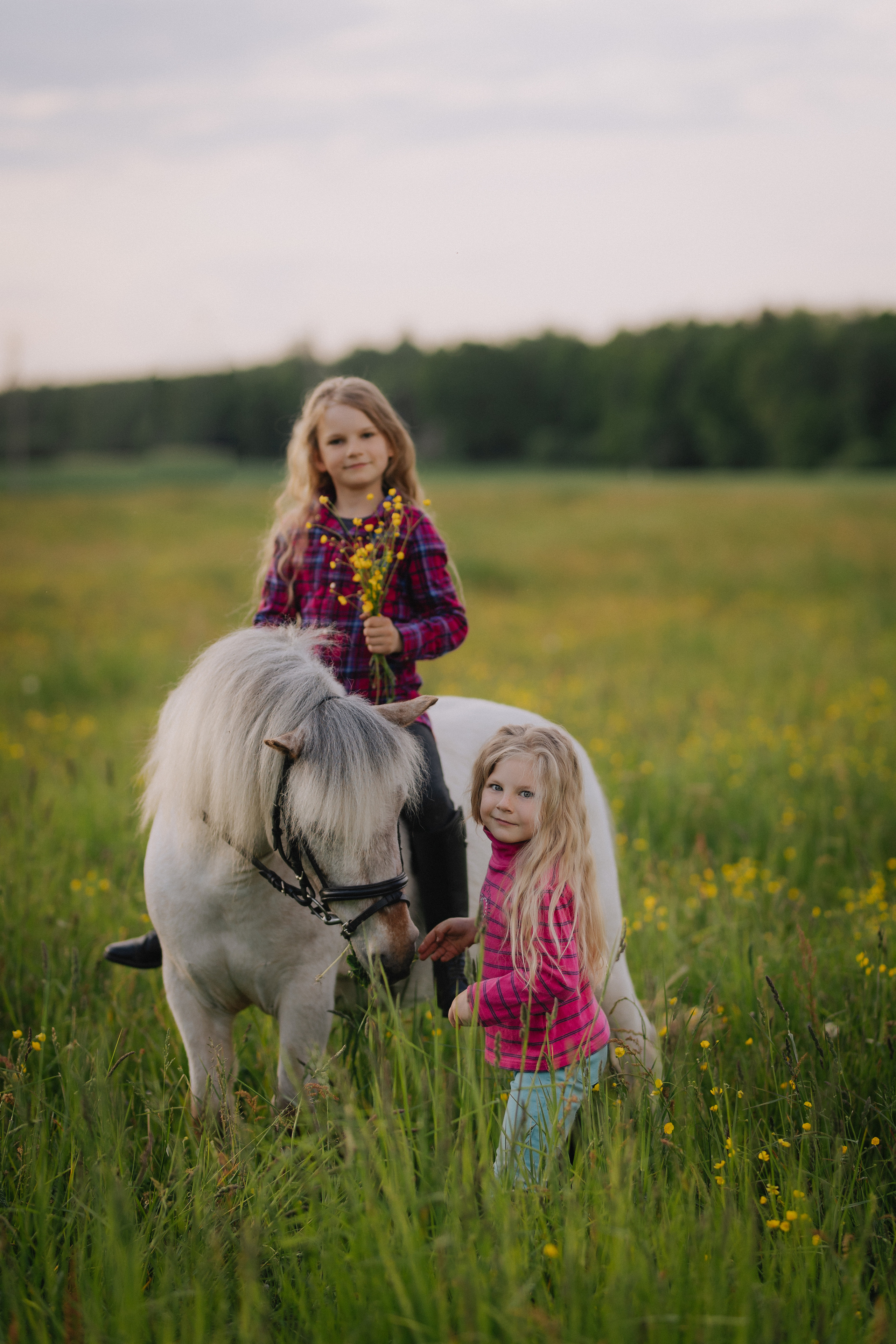 Vaikų fotosesija su poniu Marijampolėje