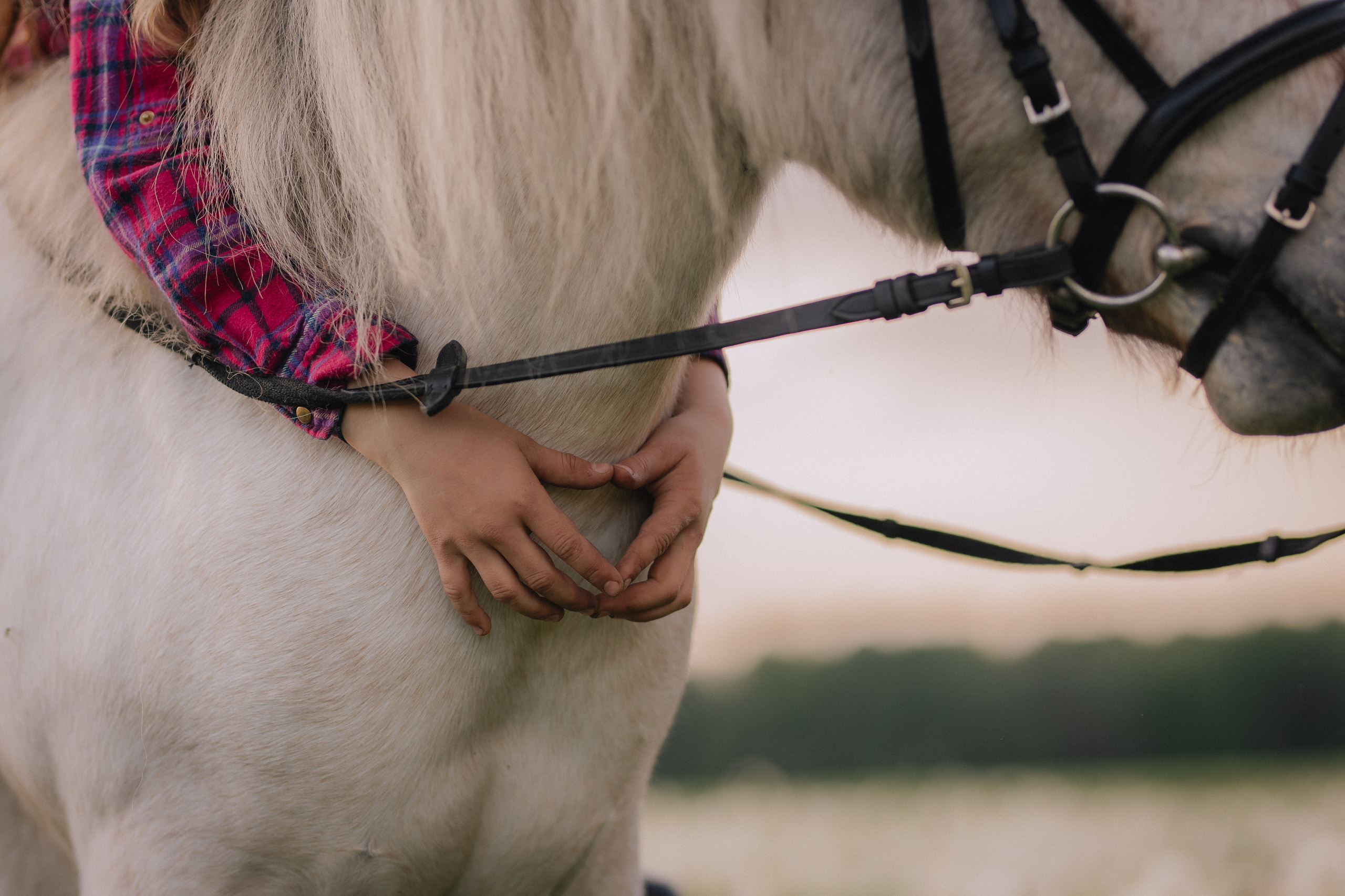 Vaikų fotosesija su poniu Marijampolėje