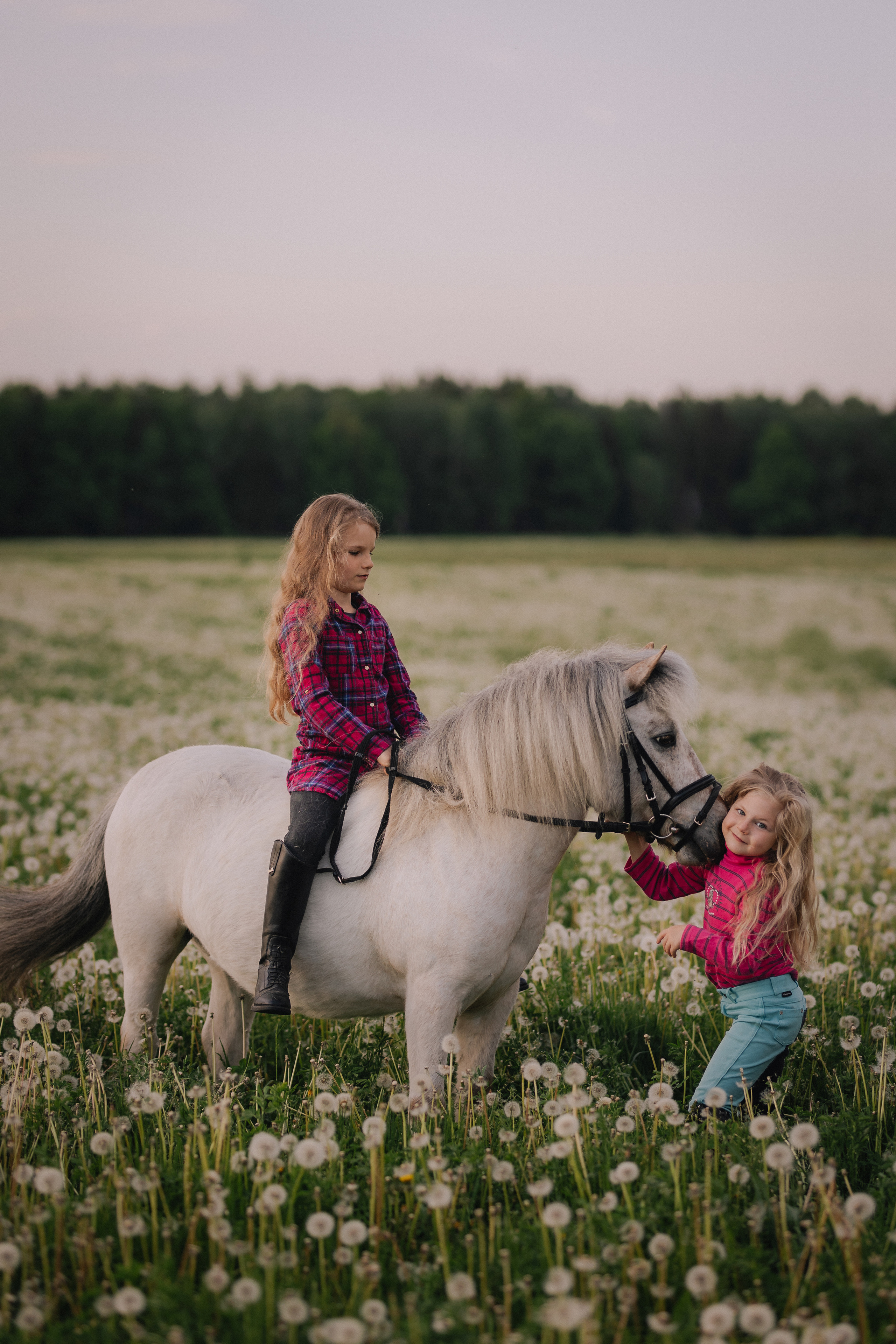 Vaikų fotosesija su poniu Marijampolėje