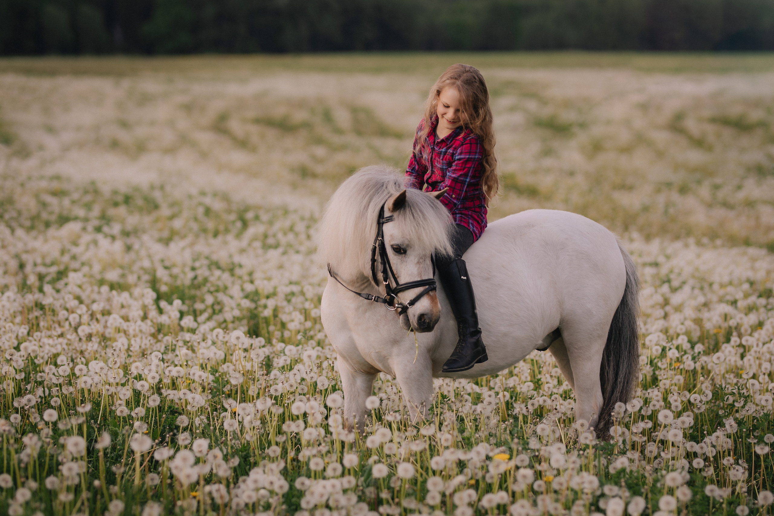 Vaikų fotosesija su poniu Marijampolėje