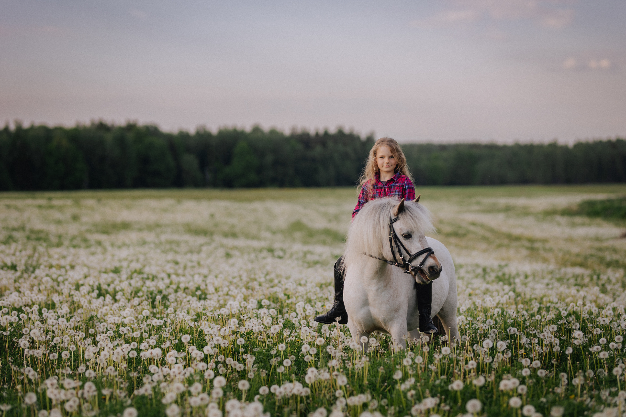 Vaikų fotosesija su poniu Marijampolėje