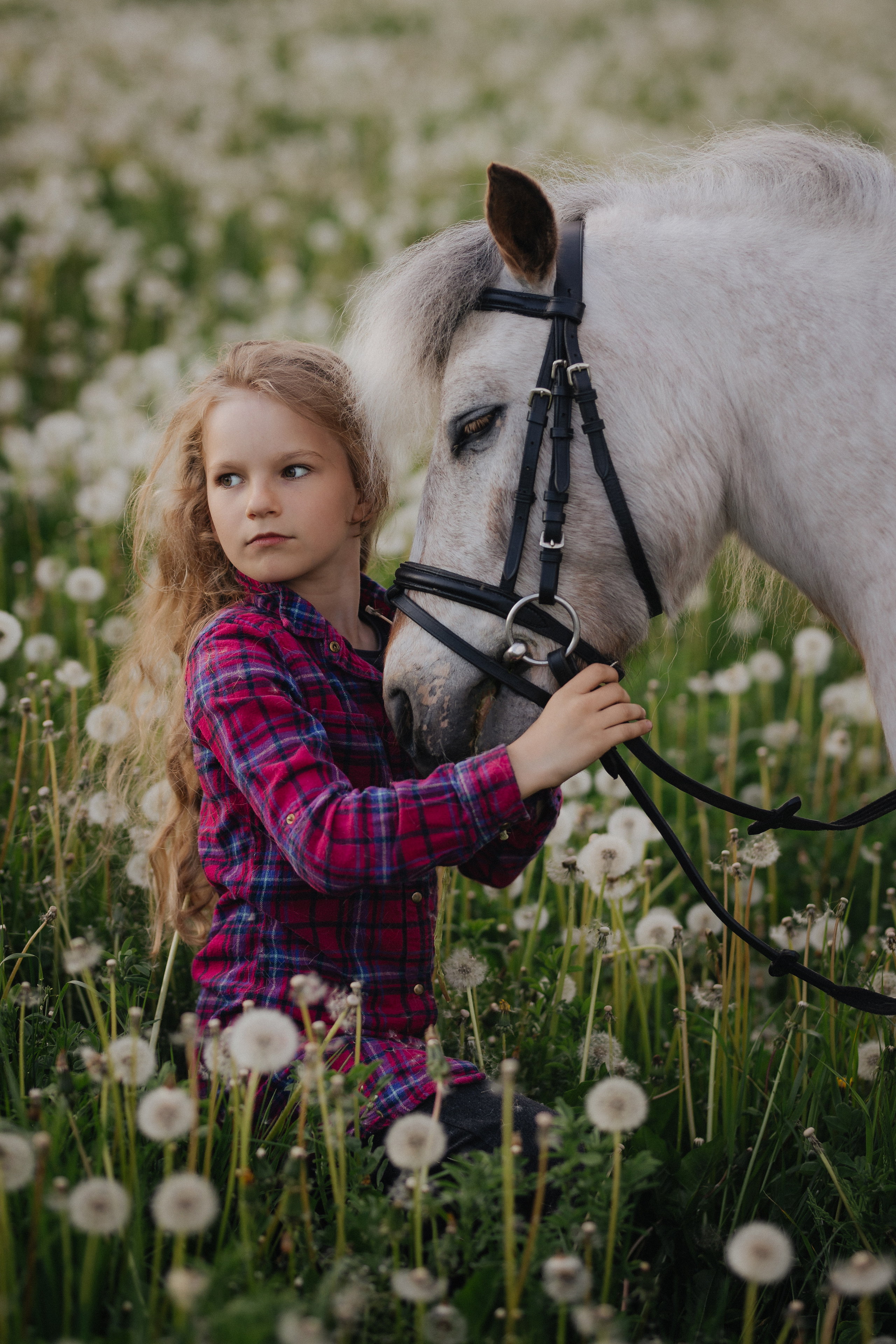 Vaikų fotosesija su poniu Marijampolėje