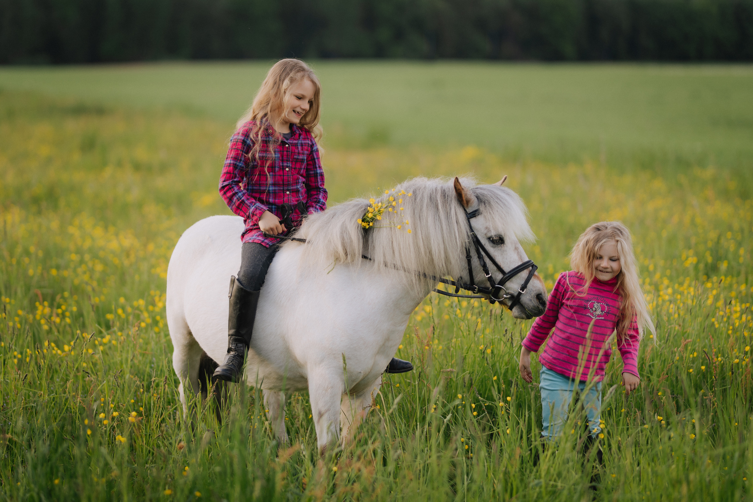 Vaikų fotosesija su poniu Marijampolėje