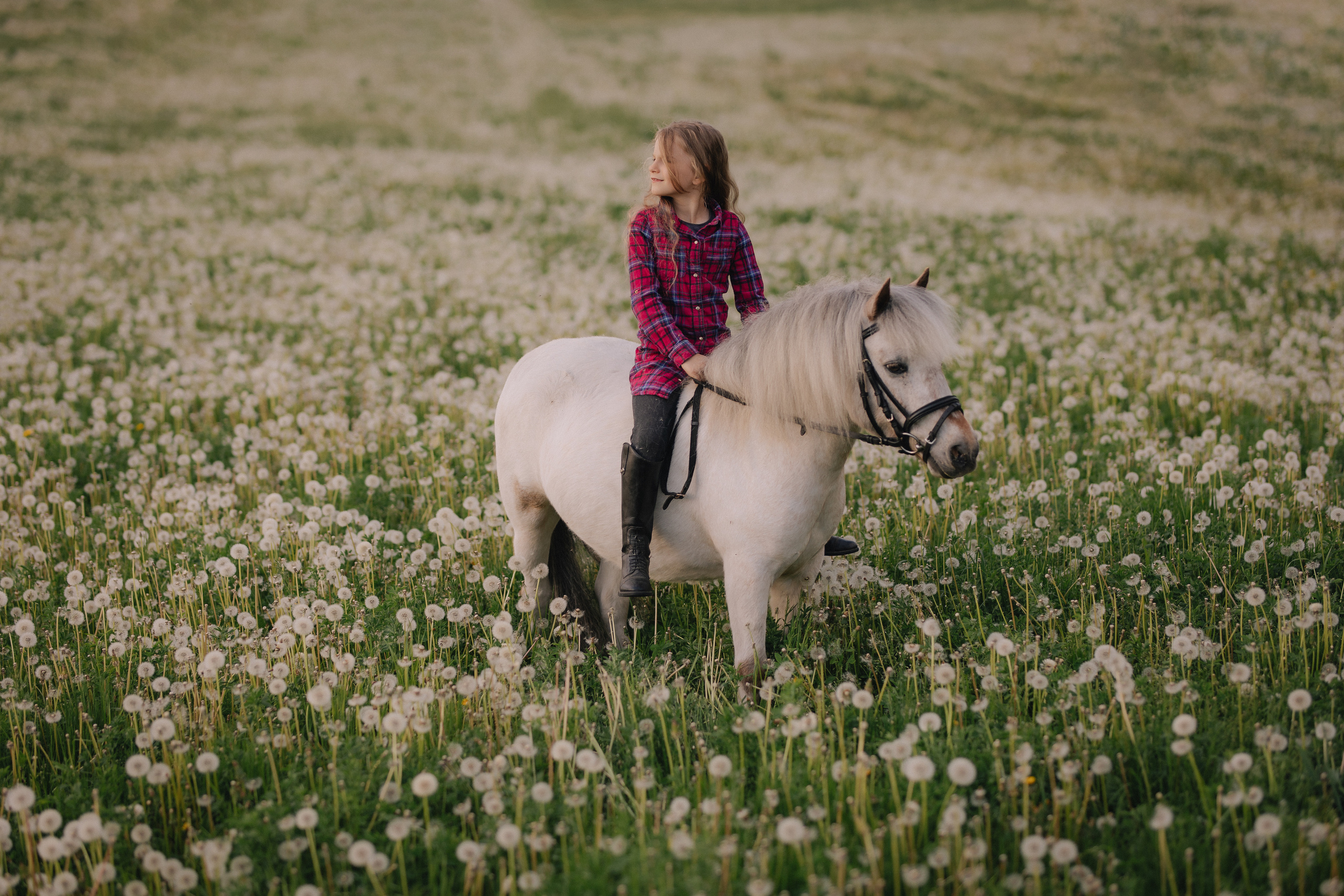 Vaikų fotosesija su poniu Marijampolėje